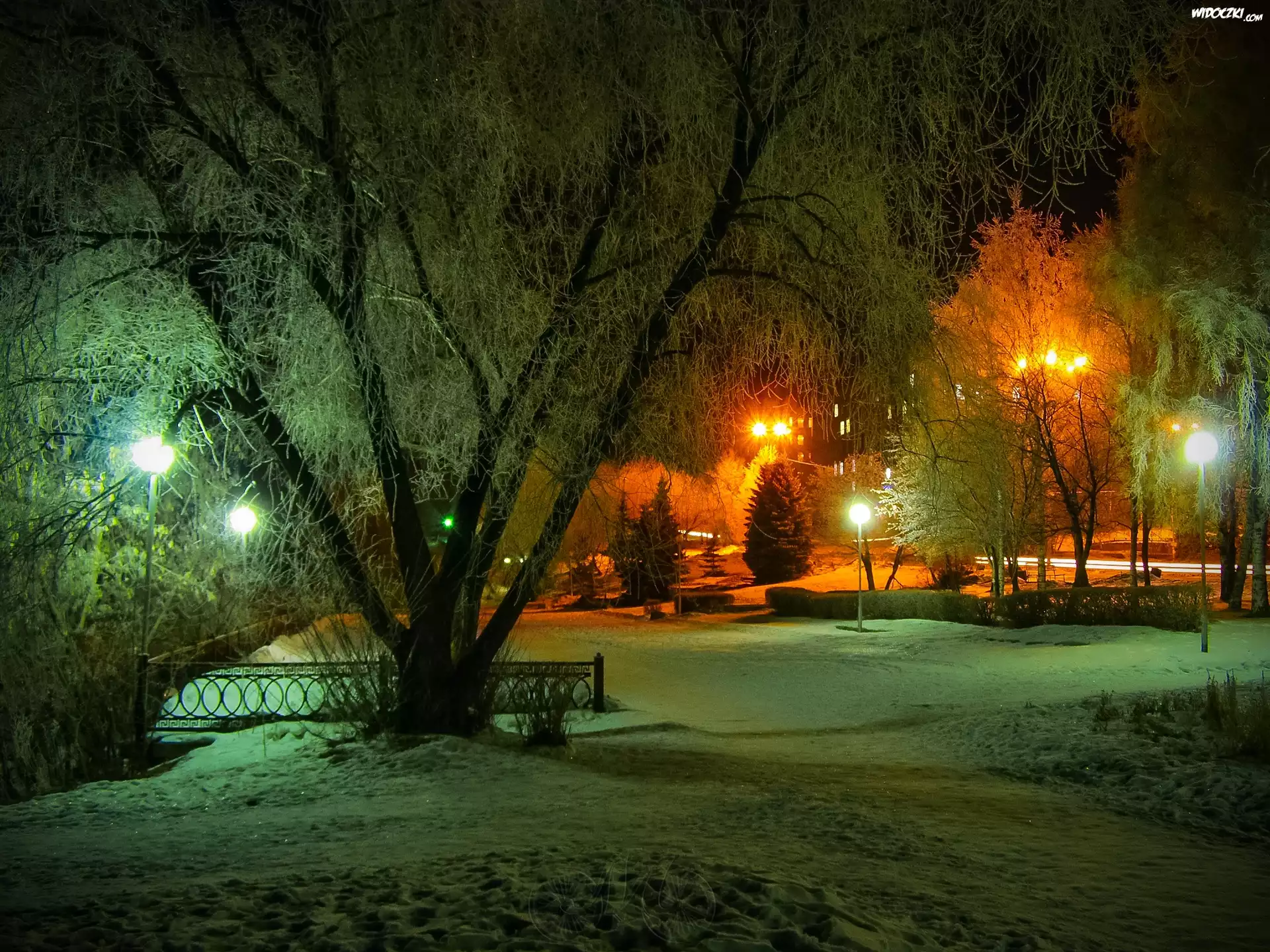 Park, Drzewa, Lampy, Noc, Zima