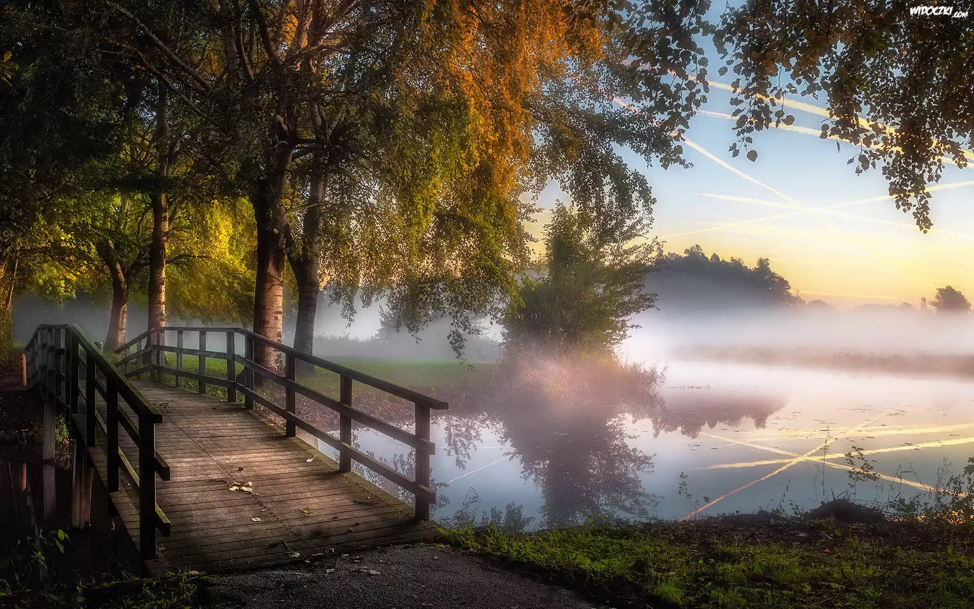 Park, Staw, Mostek, Drzewa, Mgła, Niebo, Odbicie, Poranek, Jesień