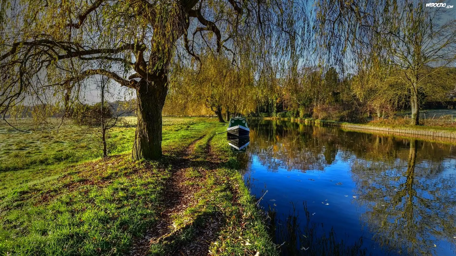 Park, Kanał, Łódka, Drzewa