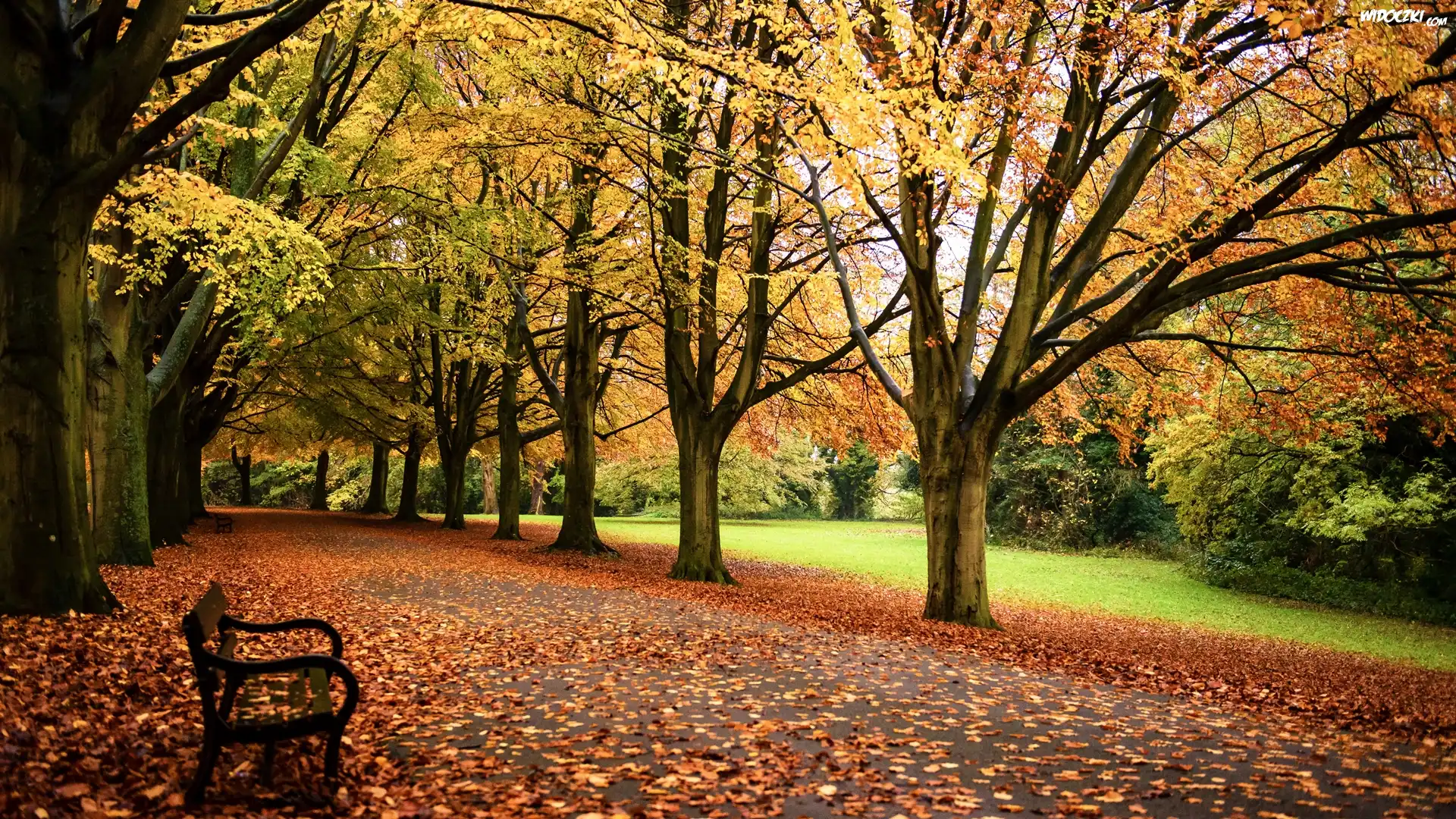 Park, Ławka, Drzewa, Jesień, Opadłe, Liście