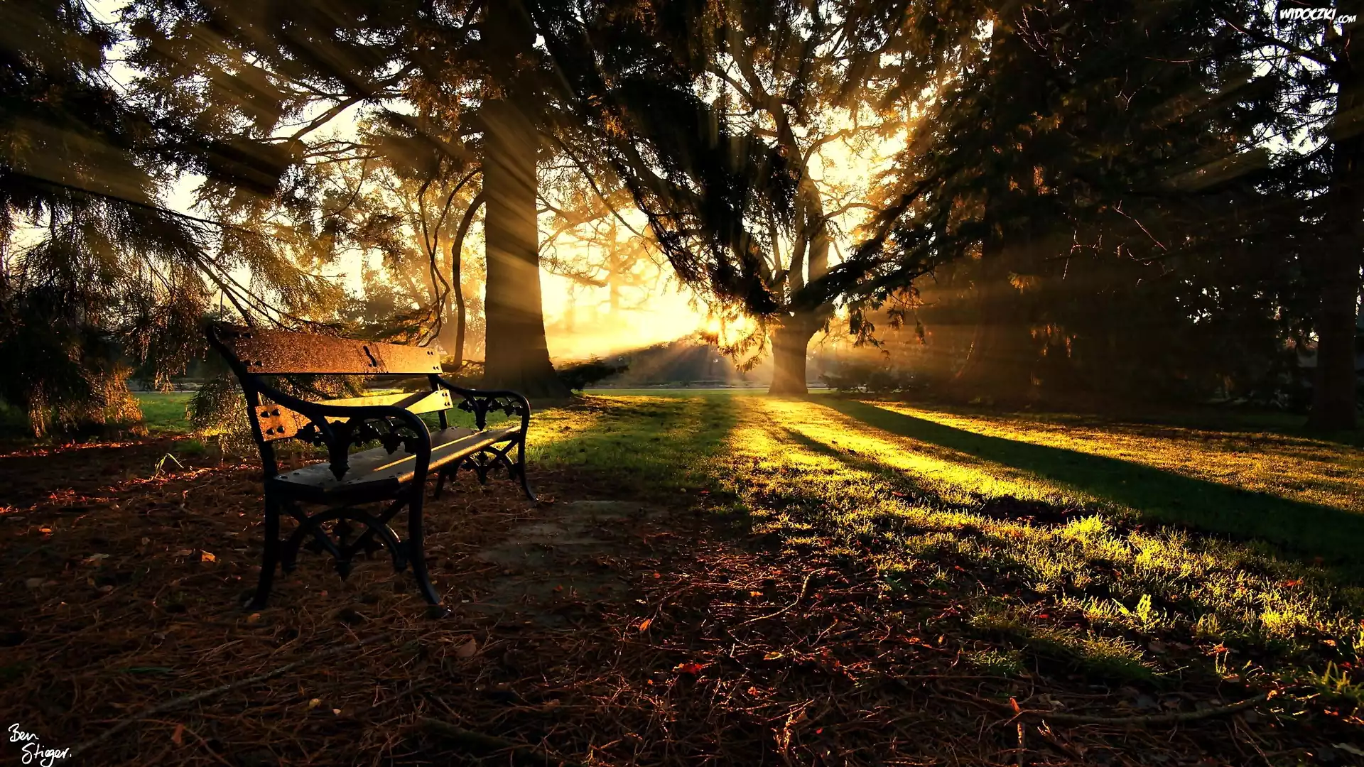 Park, Ławka, Jesień, Promienie Słońca