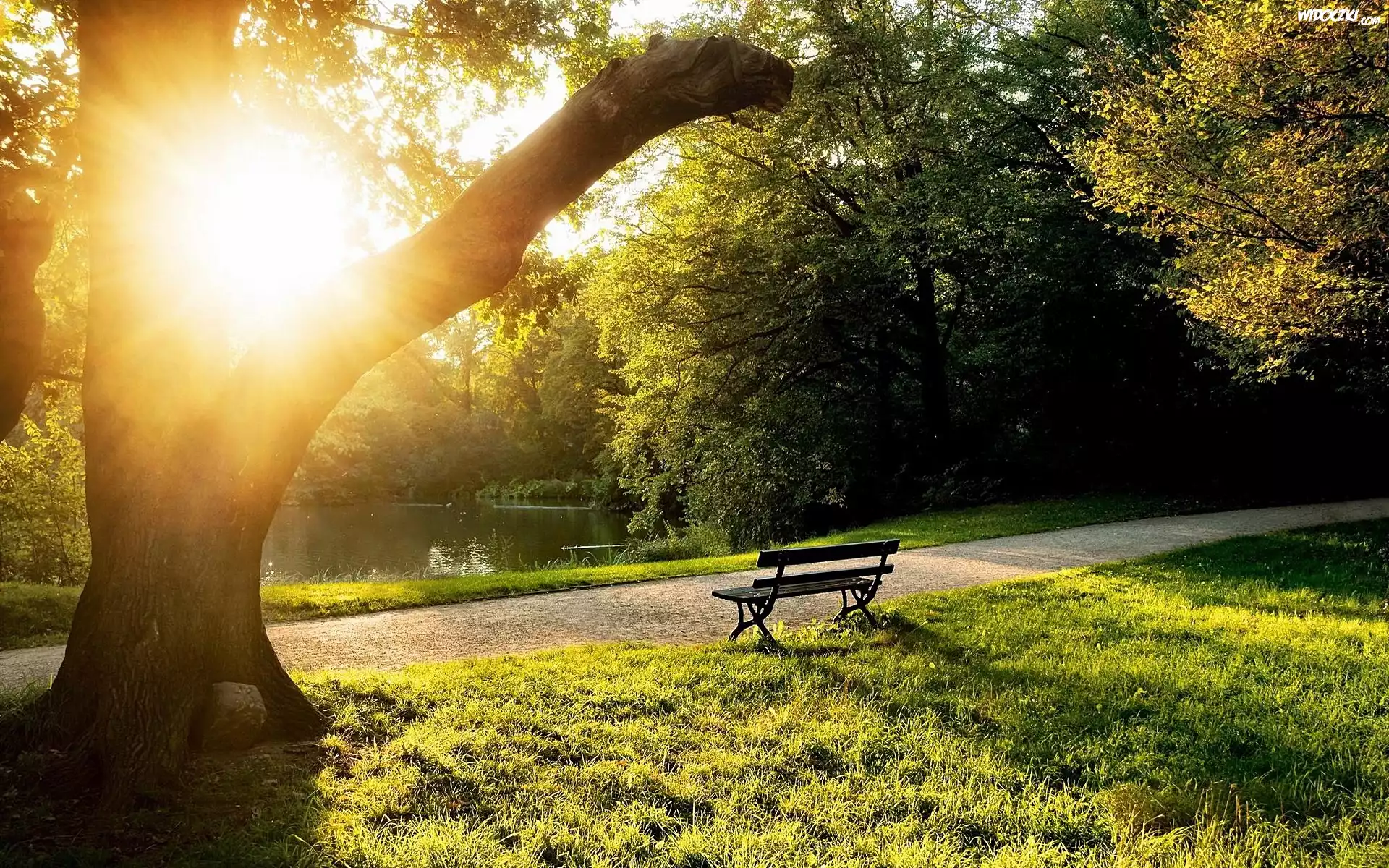 Park, Ławka, Przebijające, Słońce