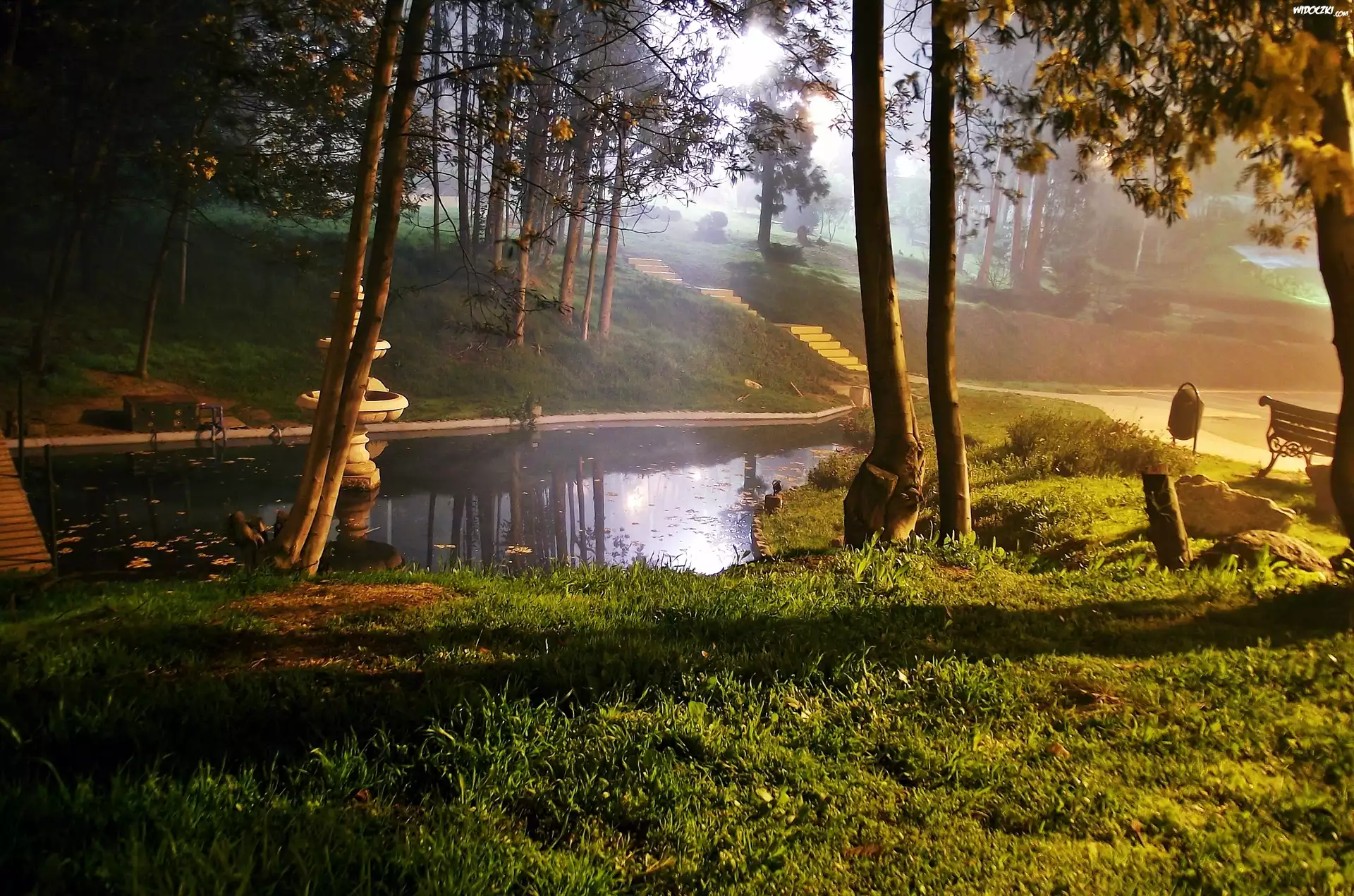 Park, Staw, Fontanna, Przebijające, Światło