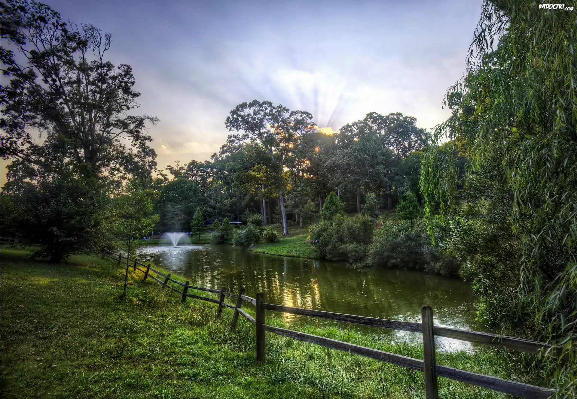 Park, Staw, Wodotrysk, Przebijające, Światło