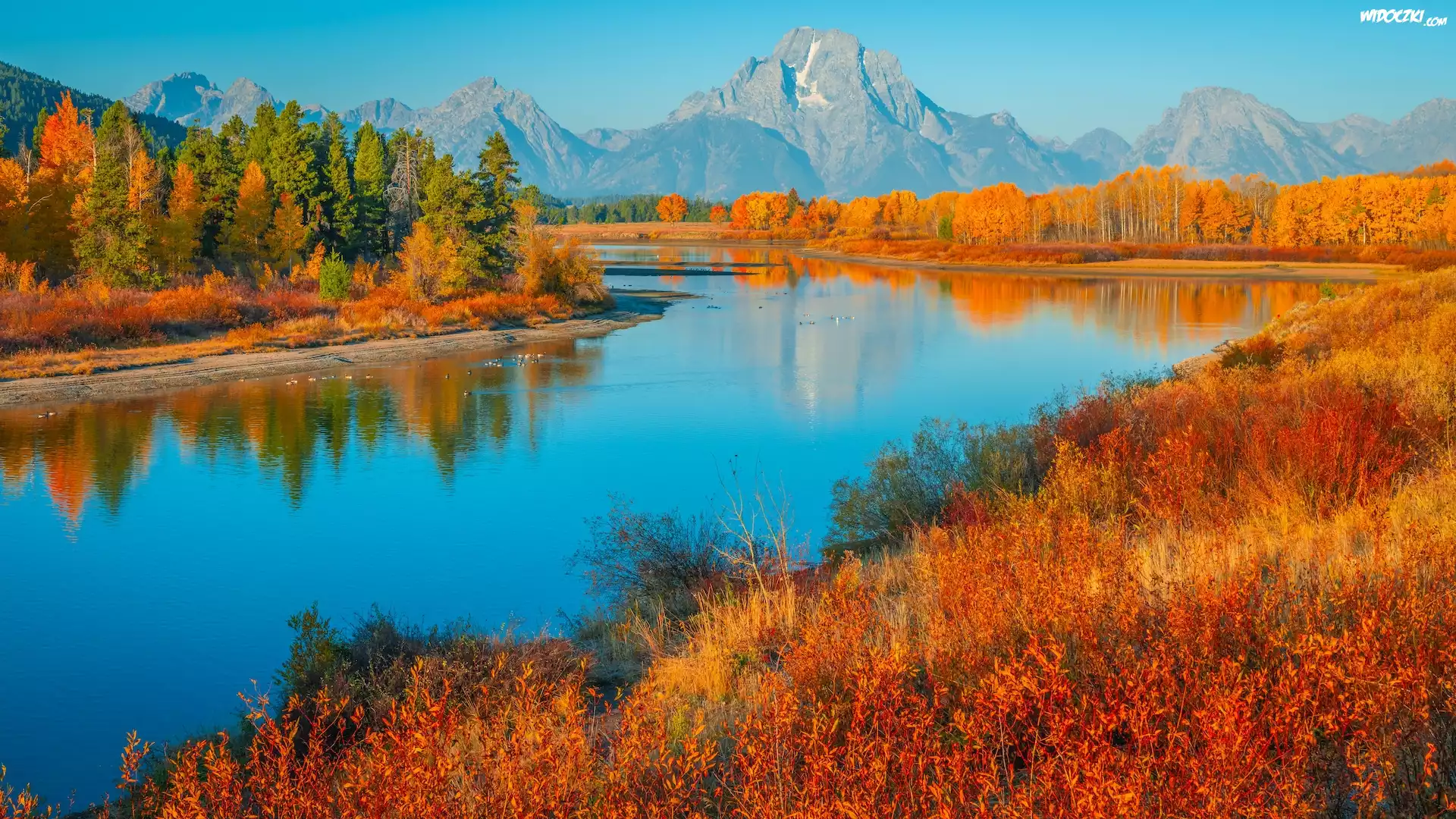 Park Narodowy Grand Teton, Rzeka, Snake River, Góry, Teton Range, Drzewa, Trawa, Jesień, Stan Wyoming, Stany Zjednoczone
