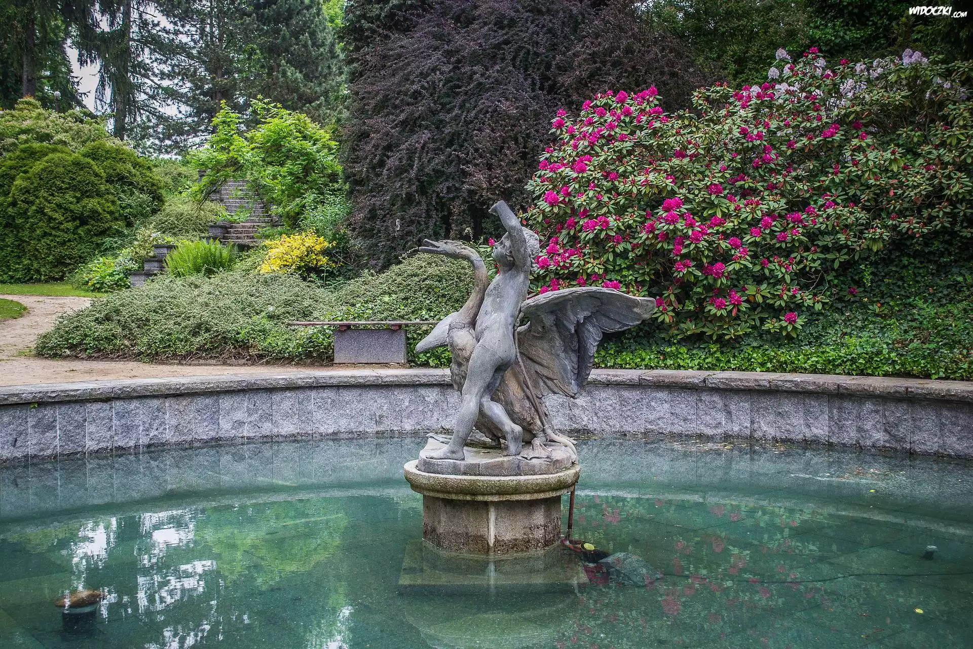Park, Fontanna, Rododendrony