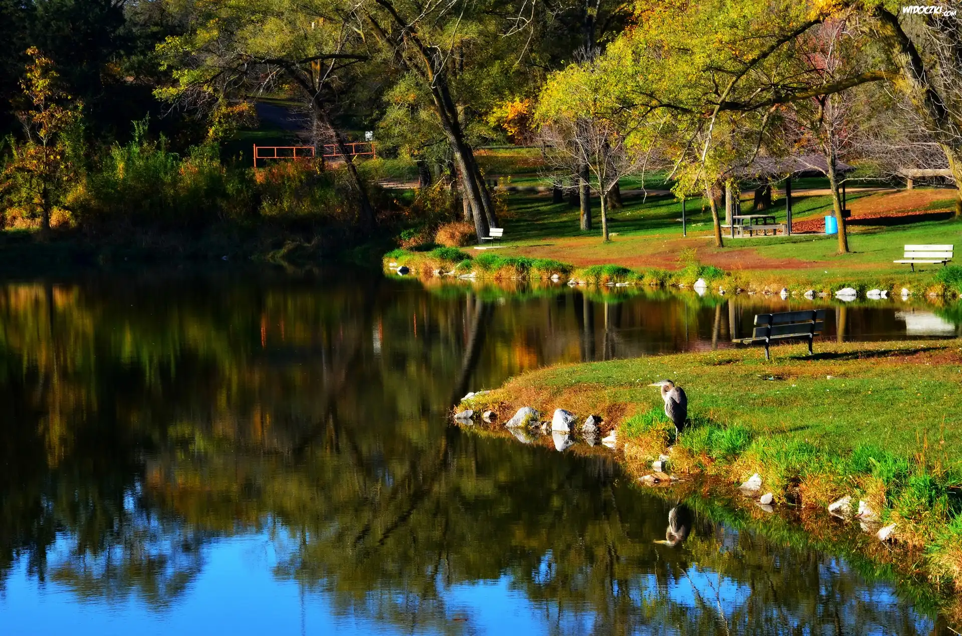 Park, Rzeka