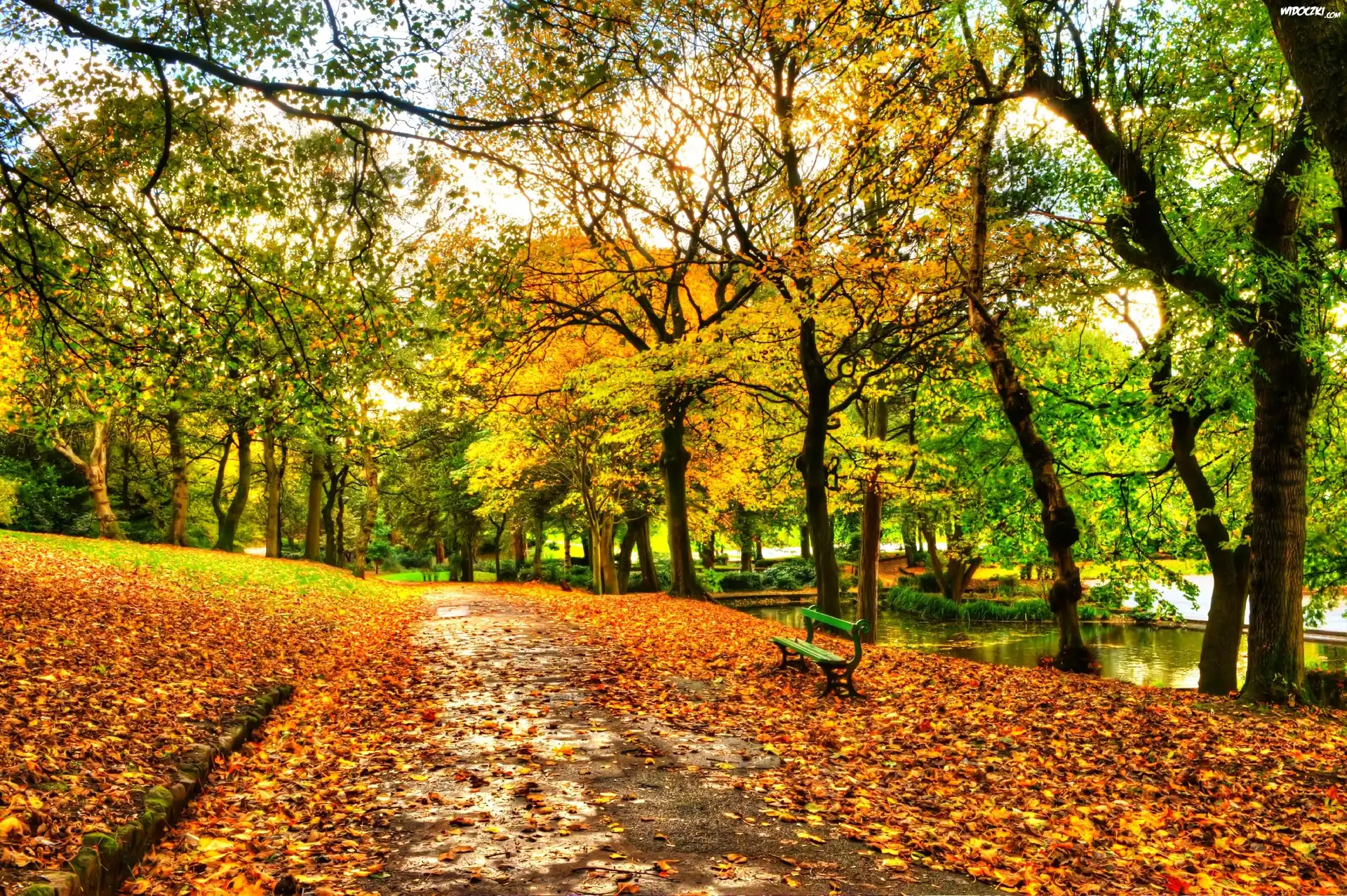 Park, Ławeczka, Rzeka, Jesień