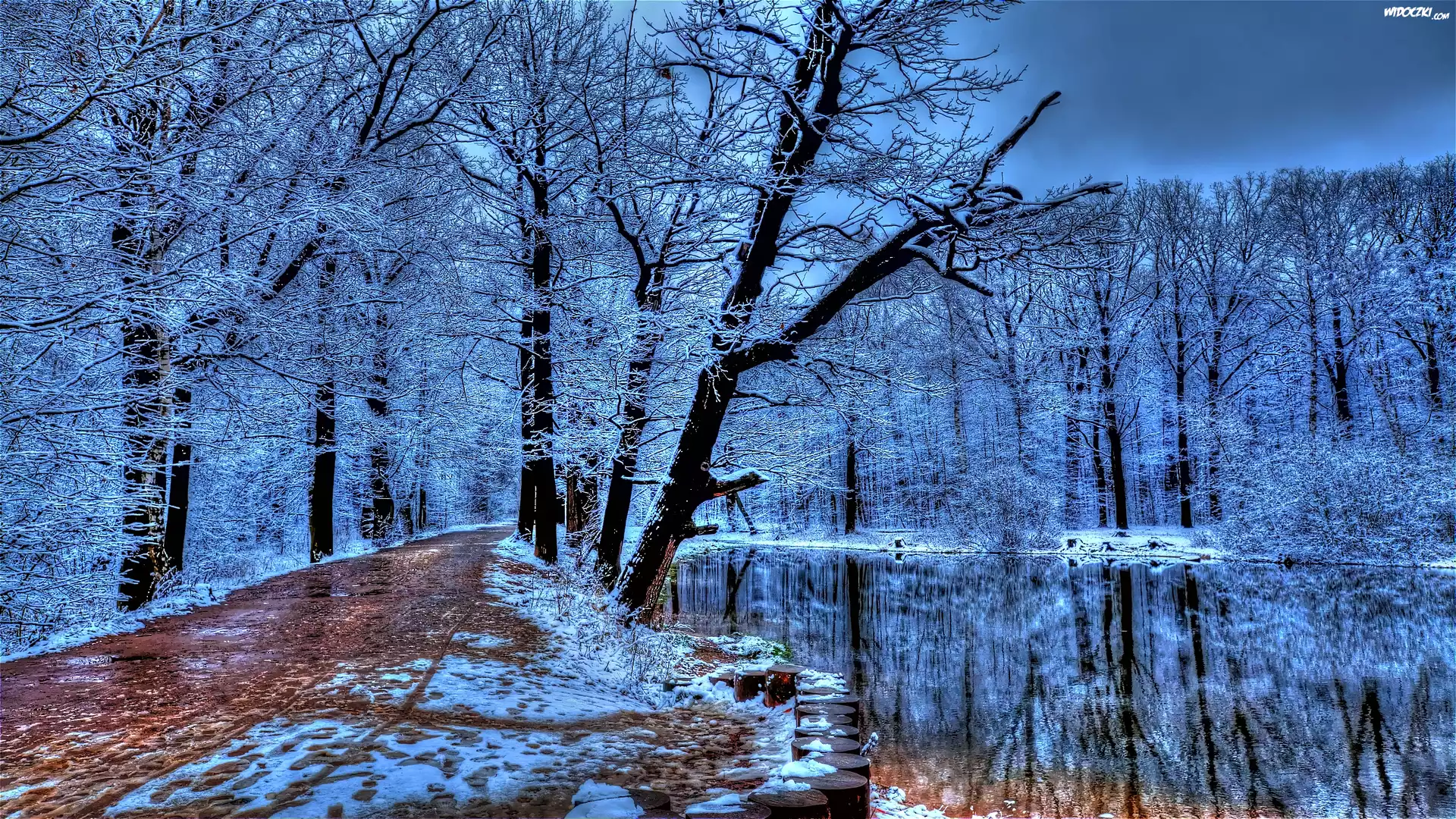 Park, Droga, Rzeka, Zima