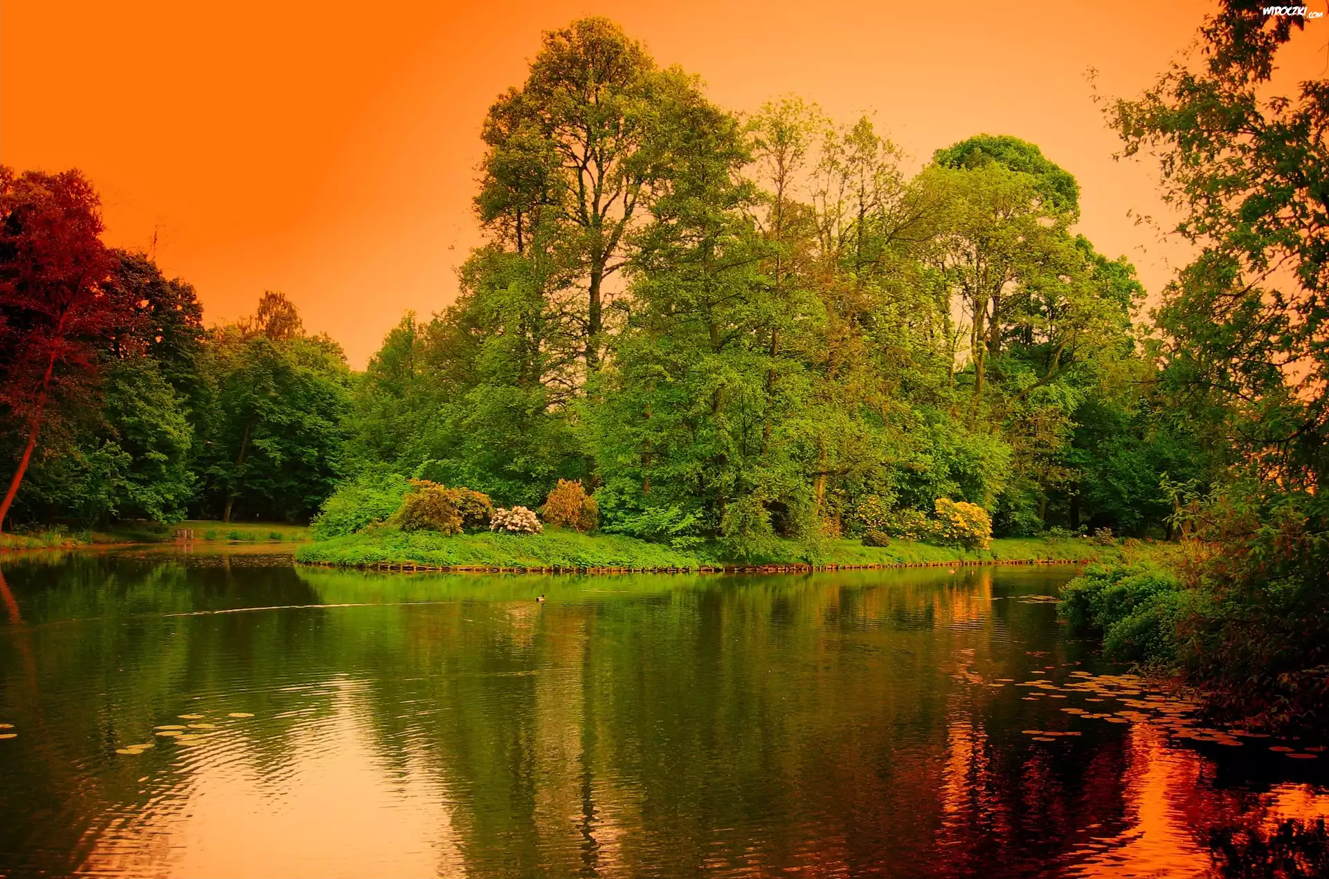 Rzeka, Park, Drzewa