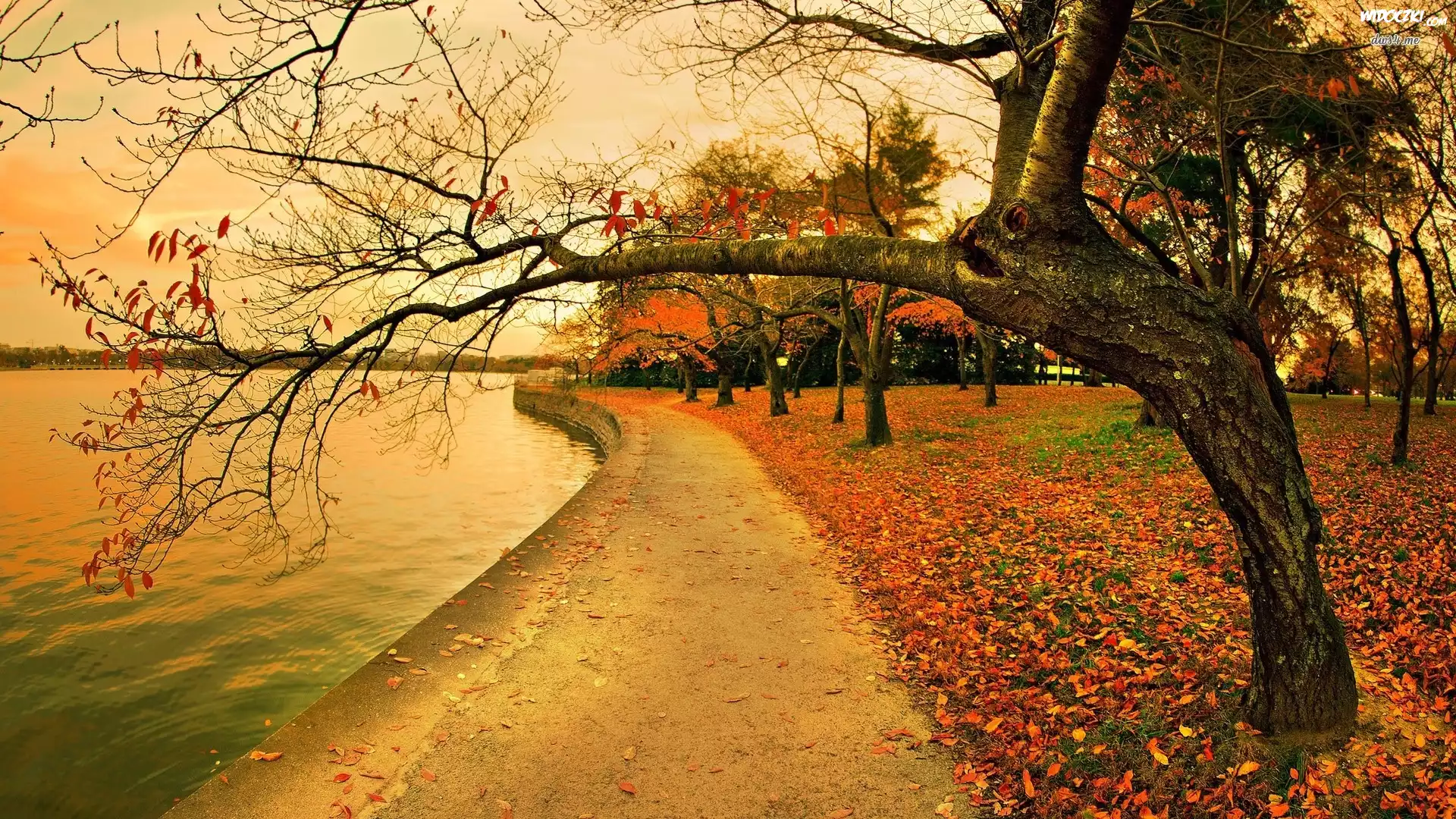 Rzeka, Park, Jesień
