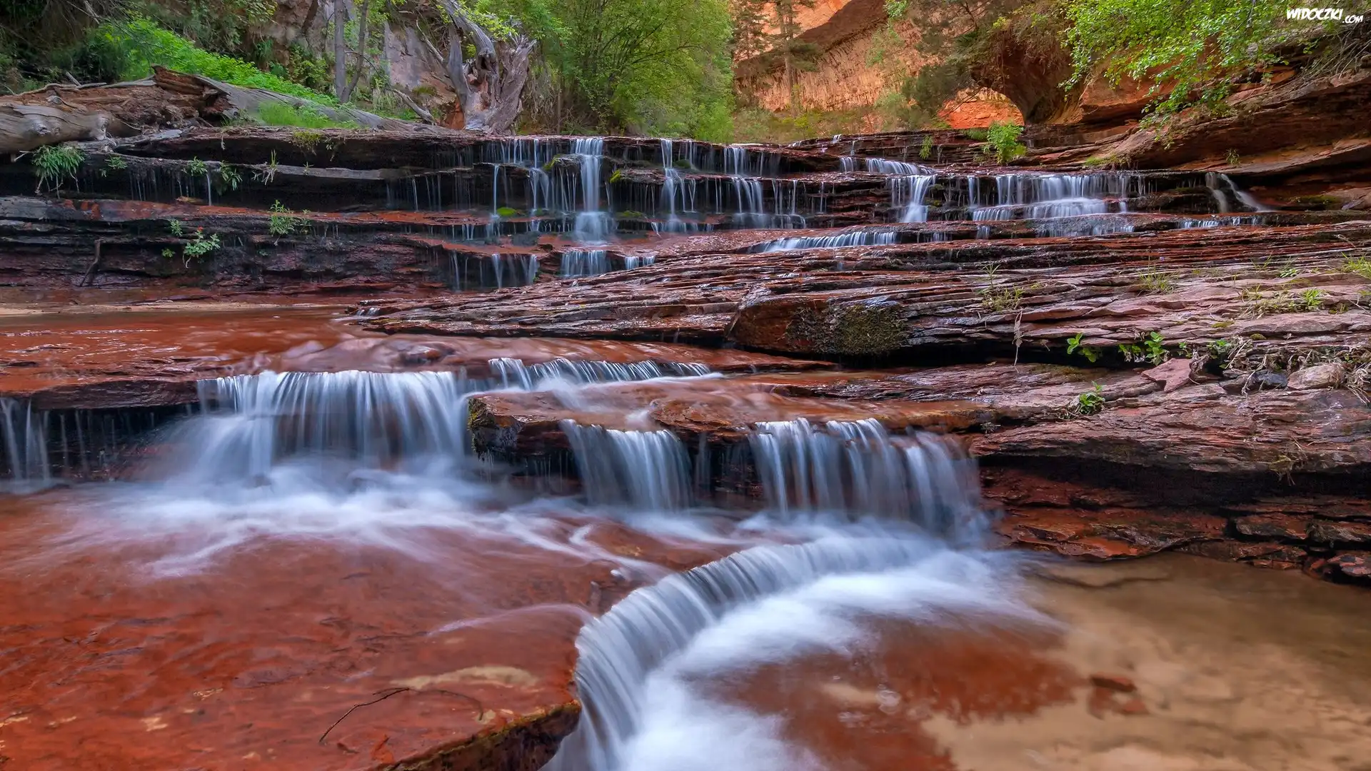 Skały, Wodospad, Cascade Falls, Kaskada, Park Narodowy Zion, Stan Utah, Stany Zjednoczone
