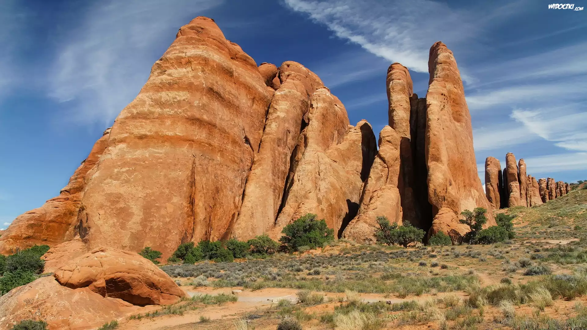 Skały, Drzewa, Krzewy, Suchy, Konar, Park Narodowy Arches, Stan Utah, Stany Zjednoczone