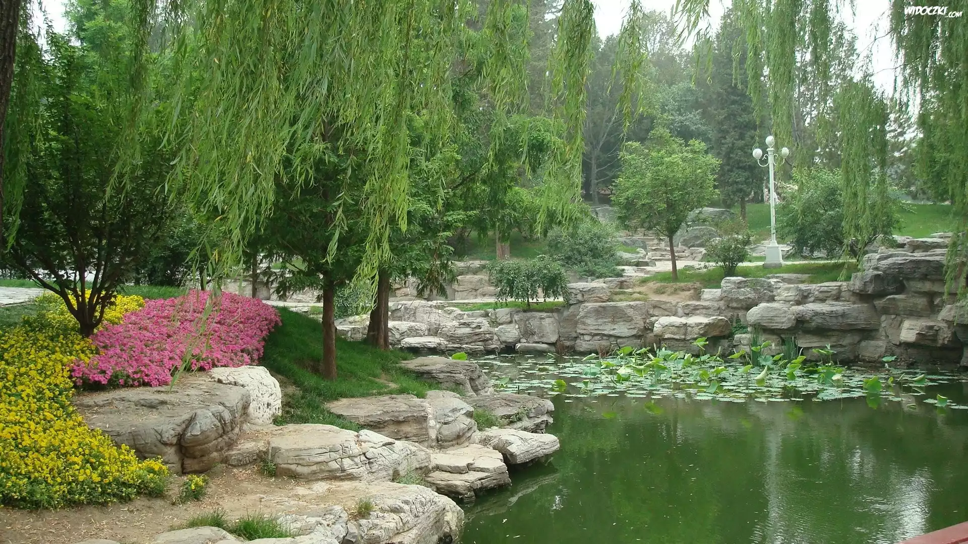 Park, Staw