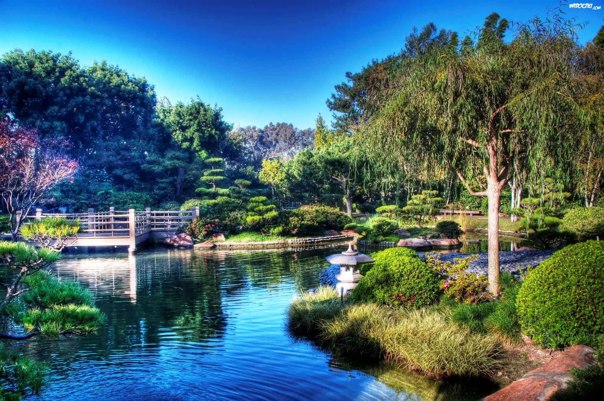 Park, Staw
