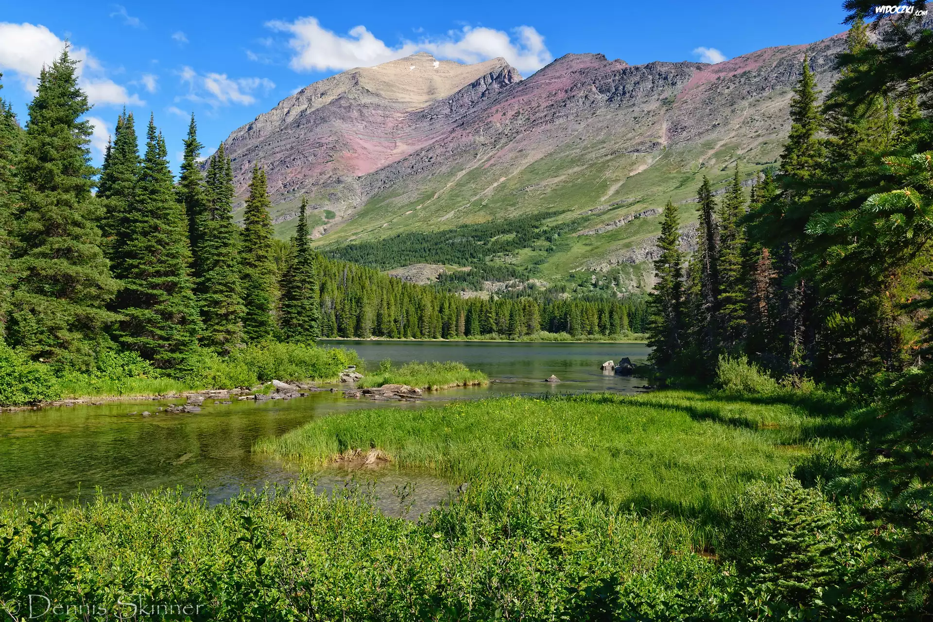 Stany Zjednoczone, Montana, Park Narodowy Glacier, Góry Skaliste, Jezioro, Swiftcurrent Lake, Drzewa, Trawa