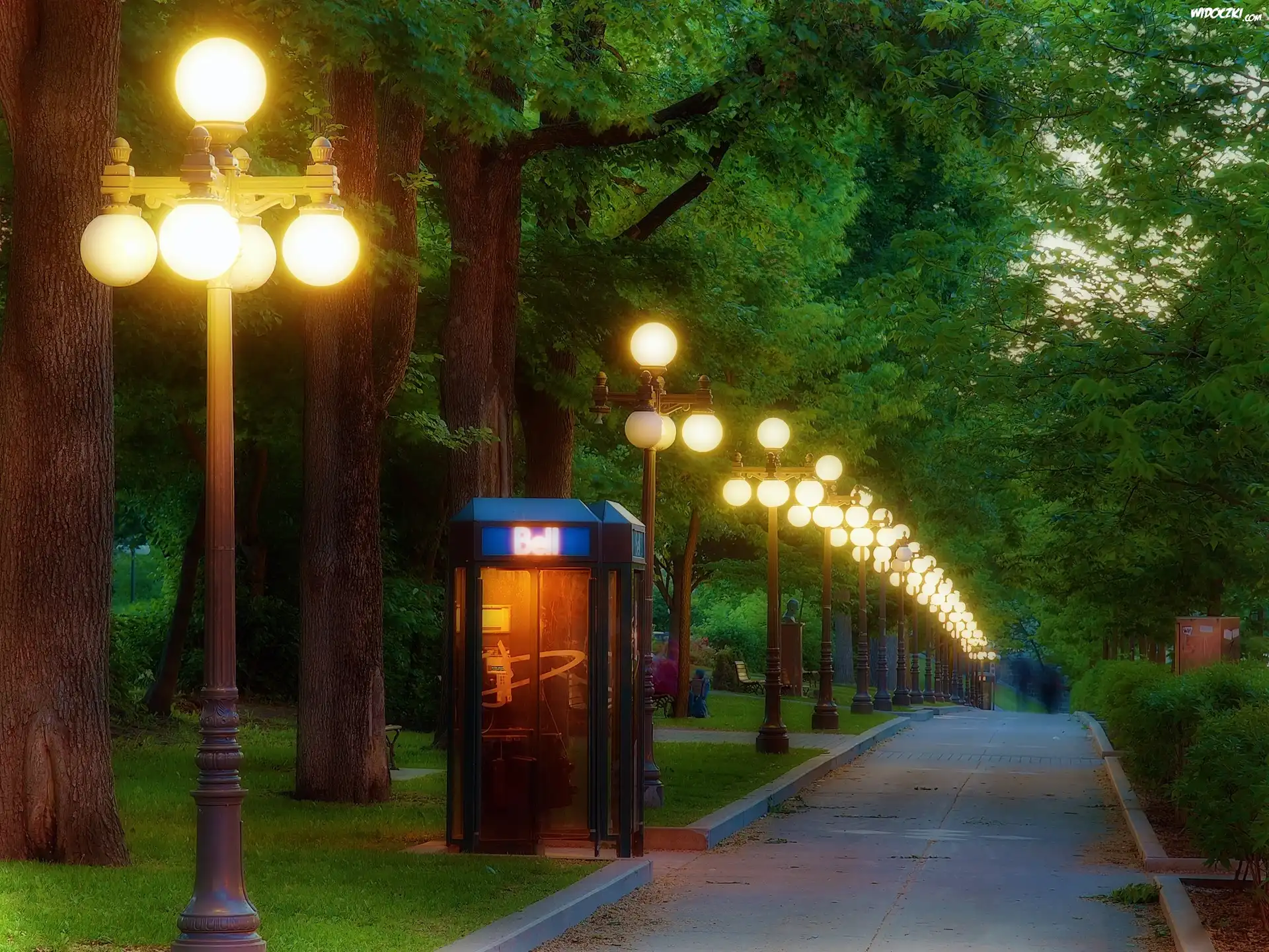 Park, Alejka, Budka, Telefoniczna, Lampy