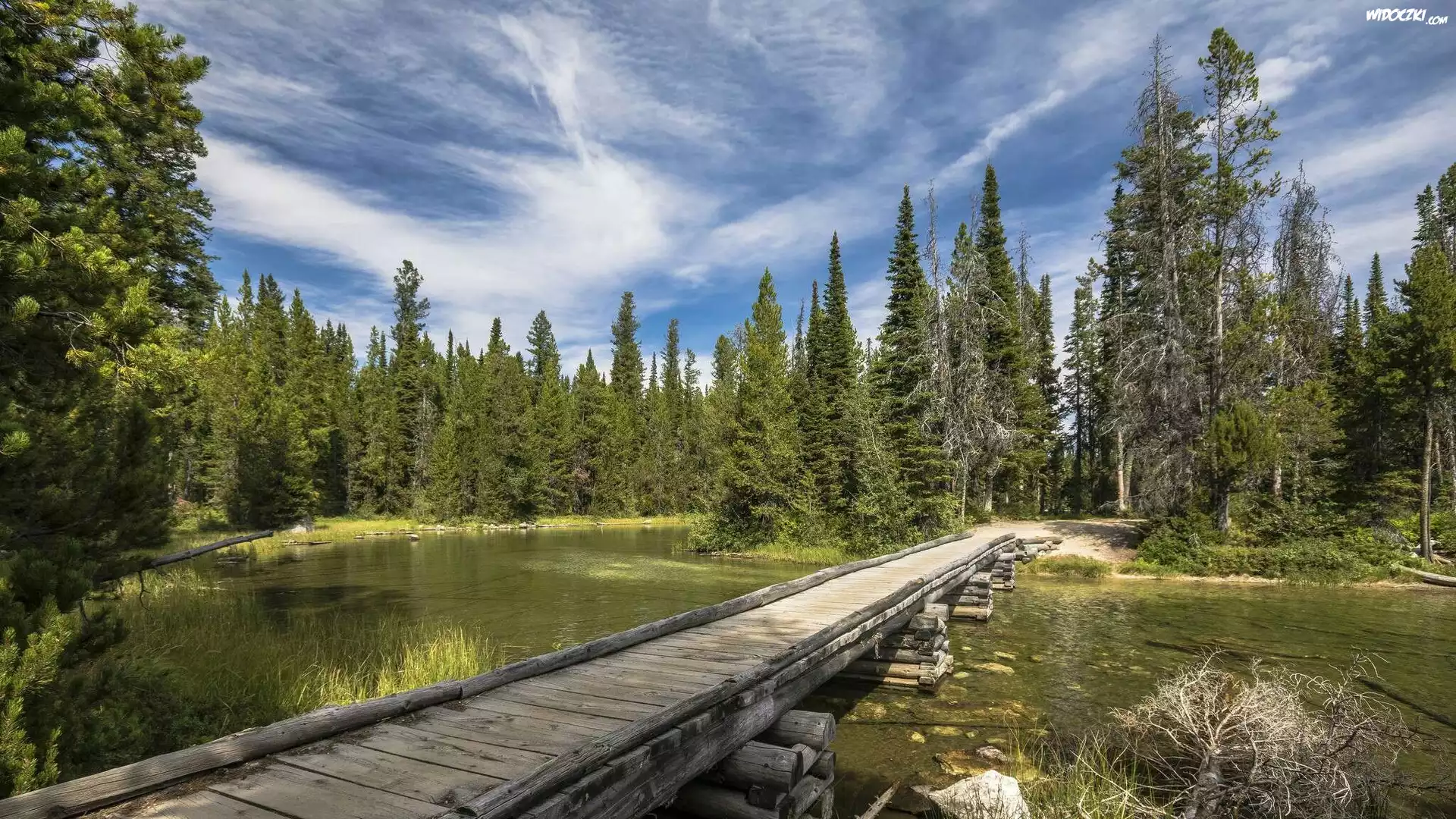 Park Narodowy Grand Teton, Stan Wyoming, Stany Zjednoczone, Jezioro, Drzewa, Drewniany, Most, Chmury