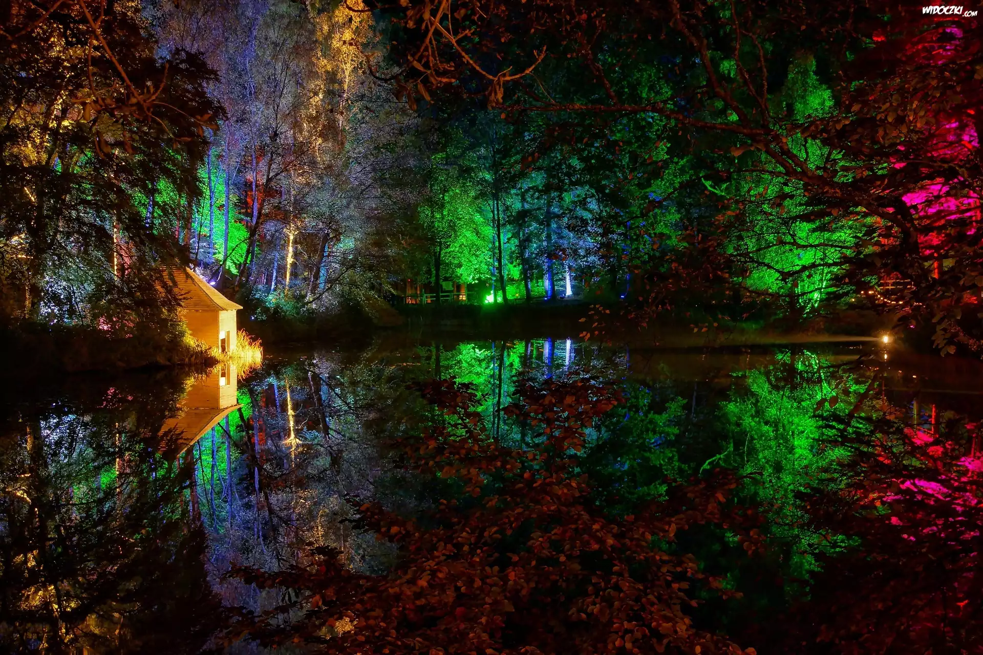 Park, Staw, Altanka, Kolorowe, Światła, Noc