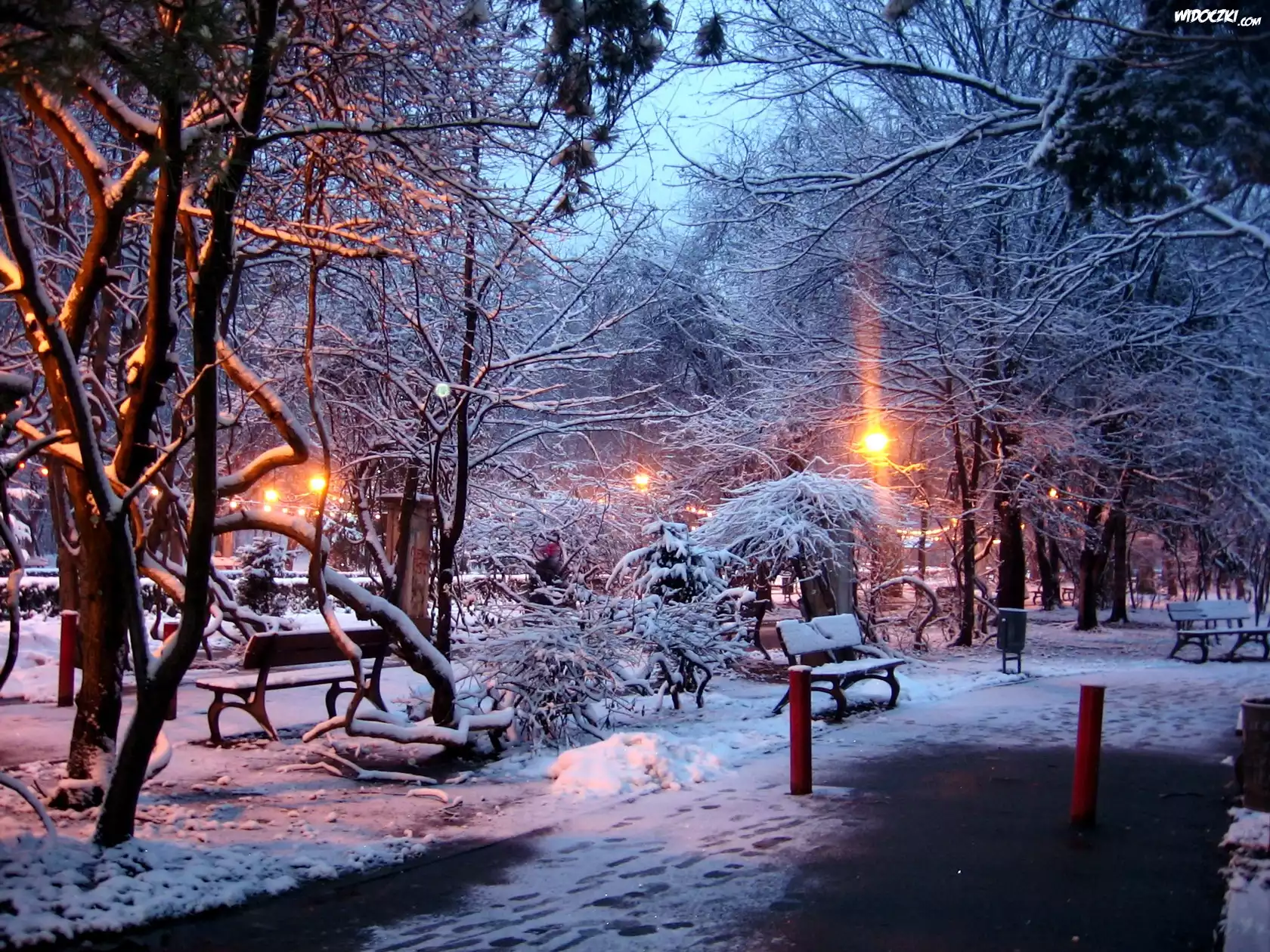Park, Drzewa, Ławki, Przebijające, Światło, Zima