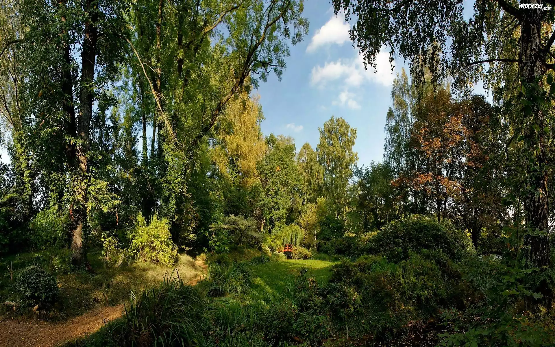 Park, Czerwony, Mostek, Obłoki, Światło, Cień