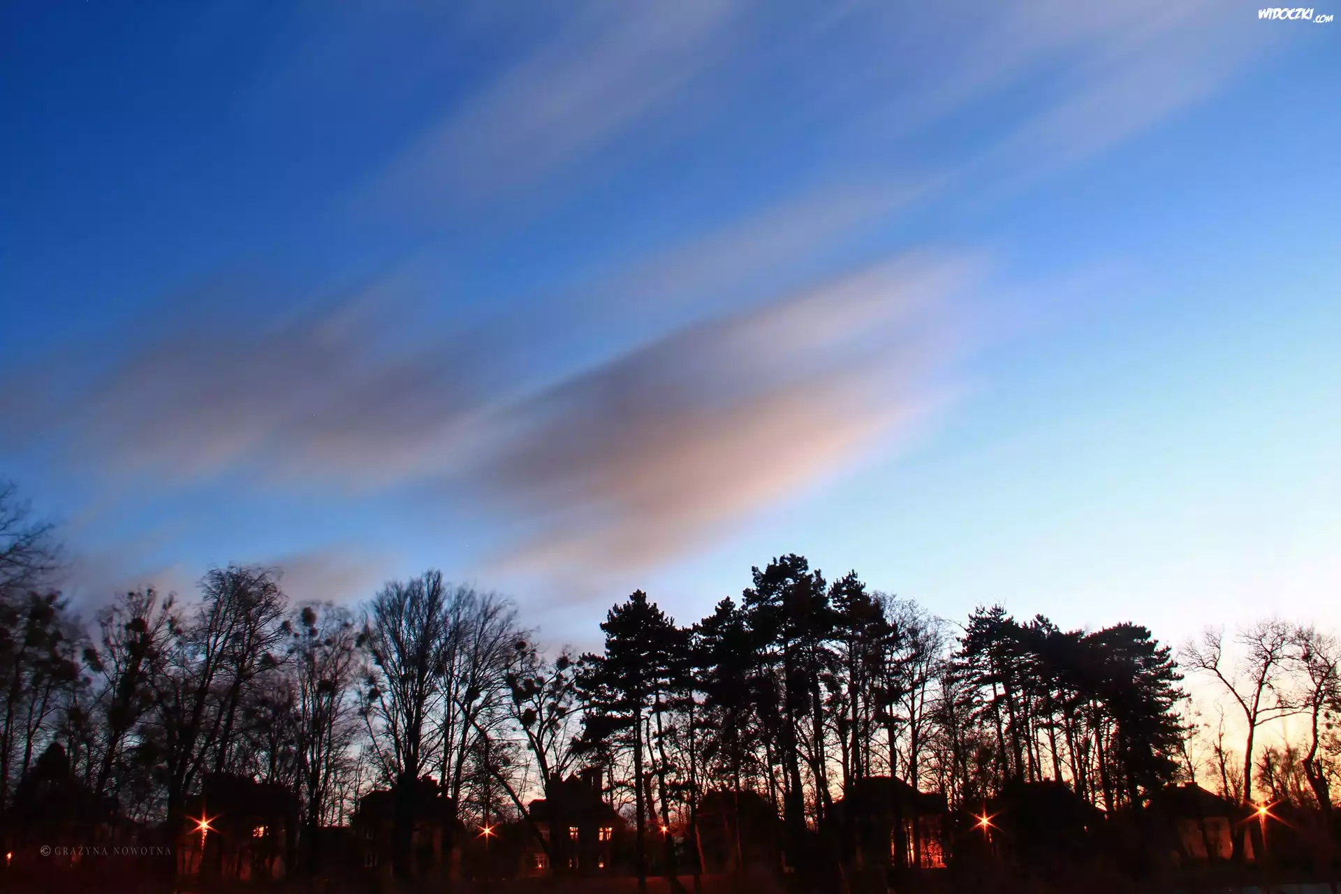 Park, Drzewa, Wieczór, Niebo