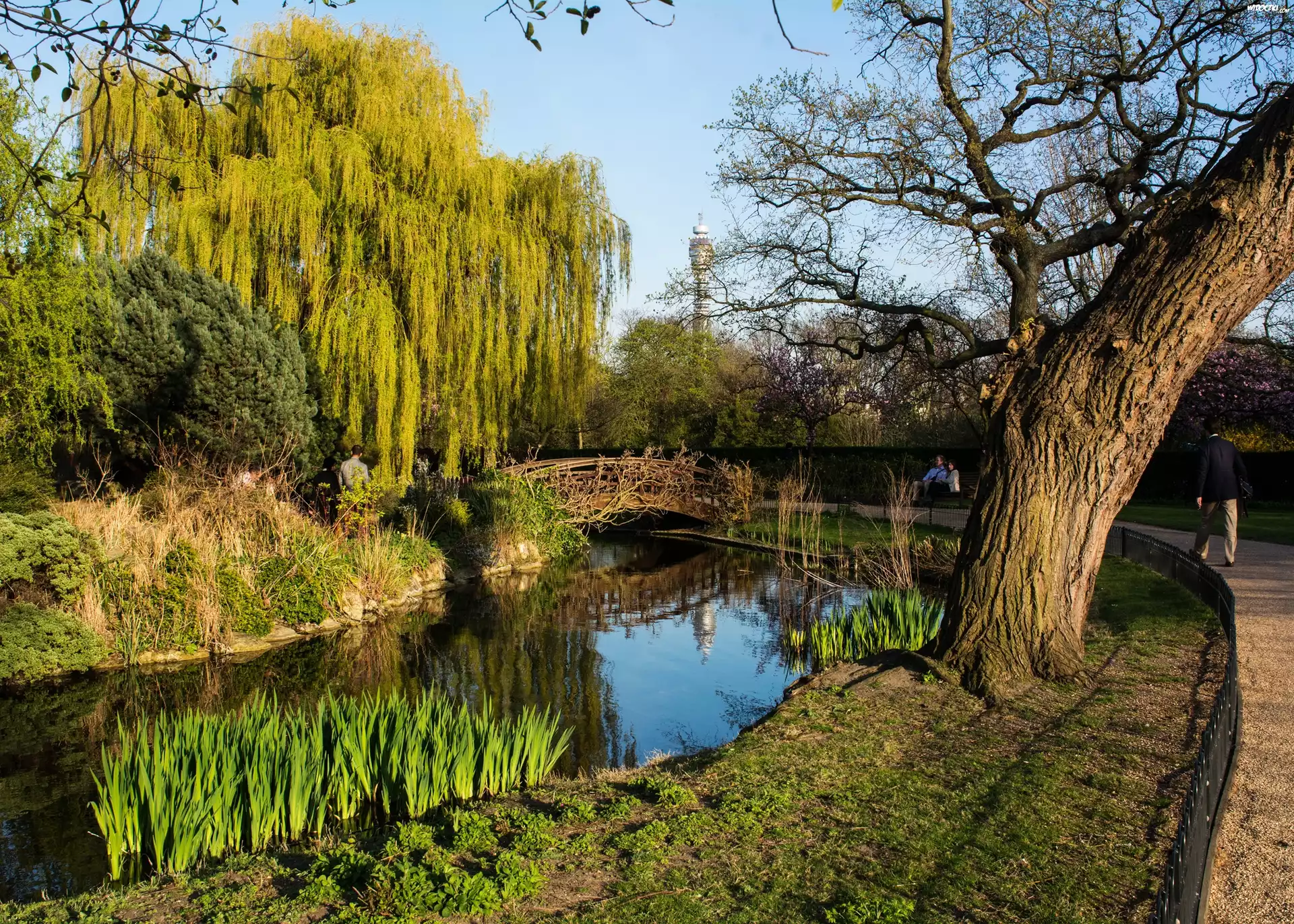 Park, Londyn, Wielka Brytania