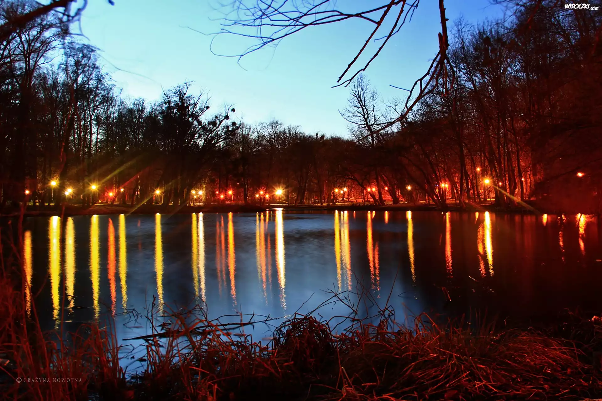 Park, Wieczór, Odbicia, Woda, Drzewa