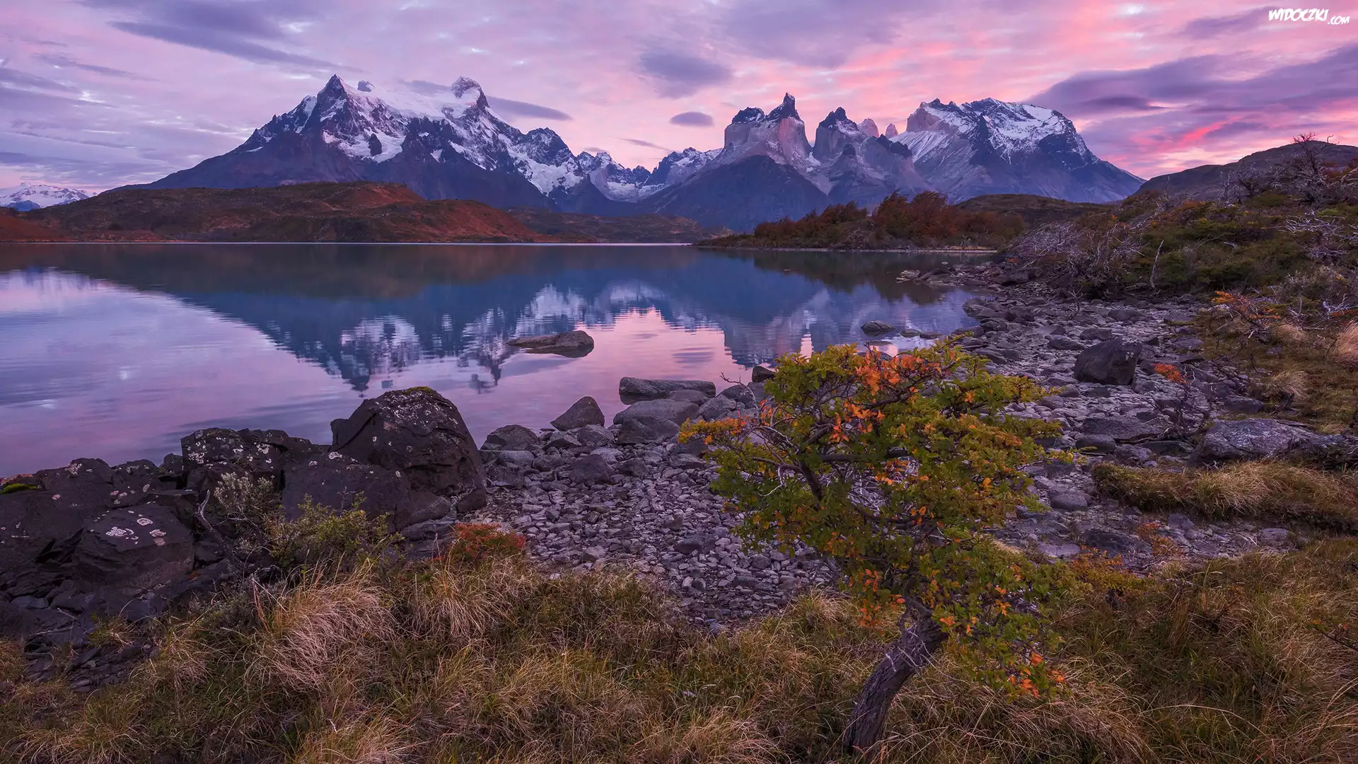 Chile, Patagonia, Park Narodowy Torres del Paine, Jezioro Pehoé, Góry Cordillera del Paine, Masyw Torres del Paine, Kamienie, Brzeg, Roślinność, Wschód słońca