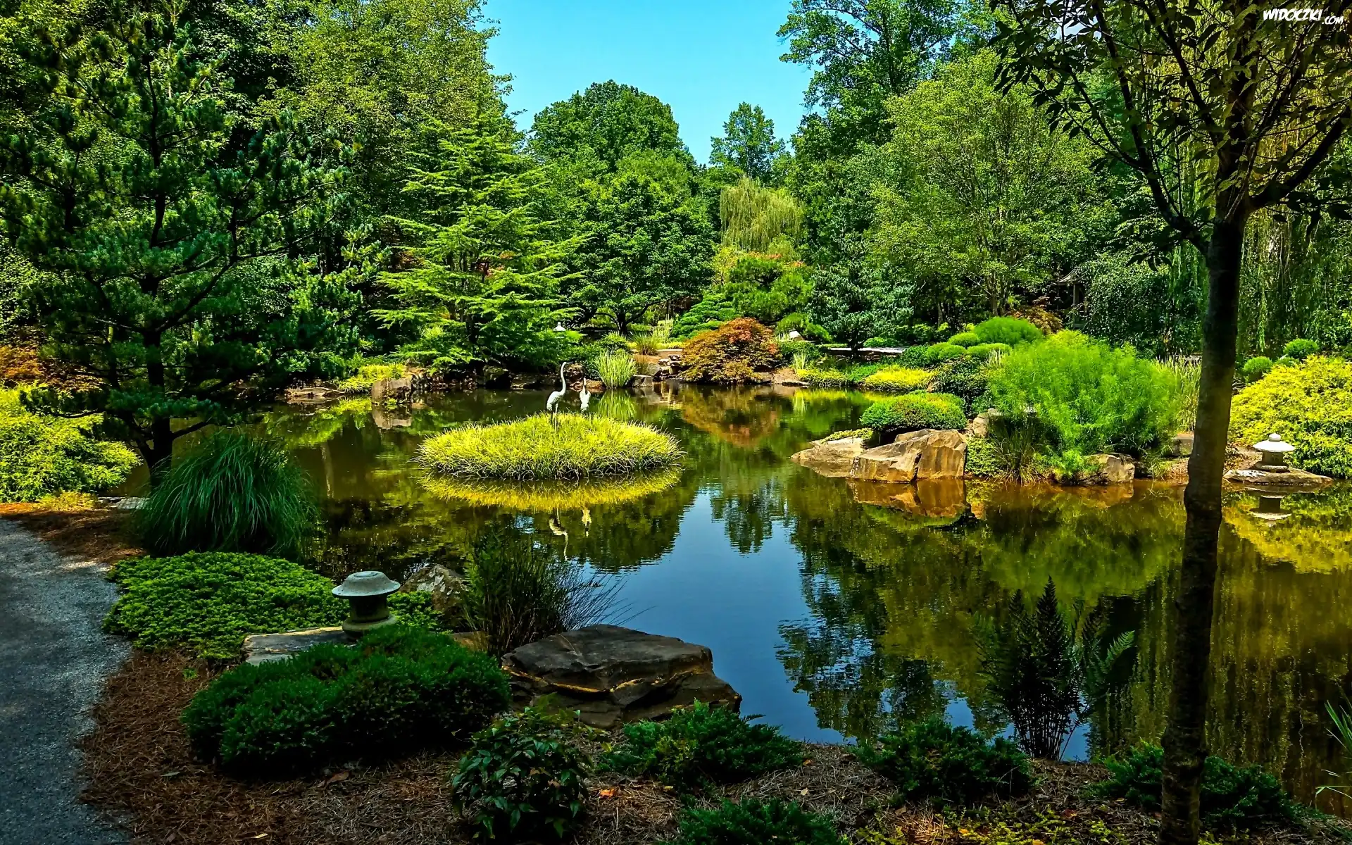 Park, Staw, Zieleń, Żurawie