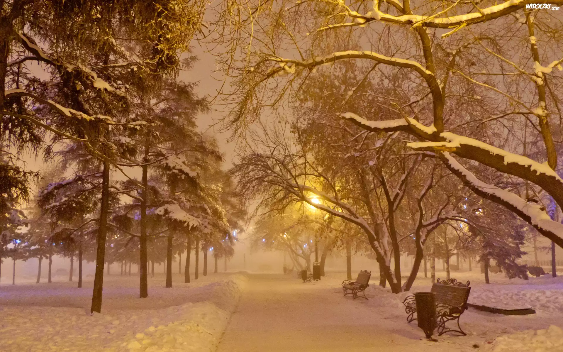 Zima, Park, Ławki