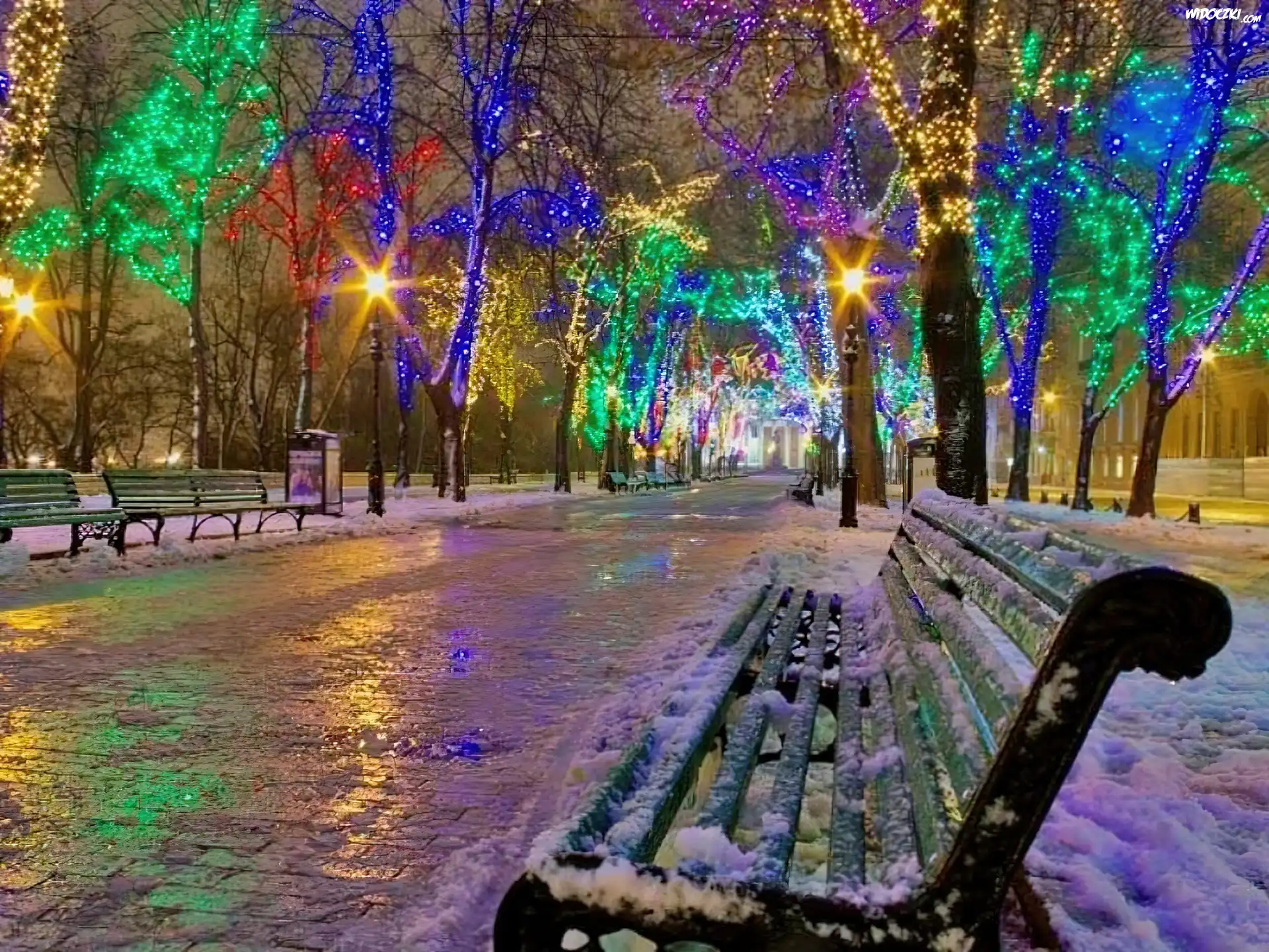 Zima, Park, Lampki