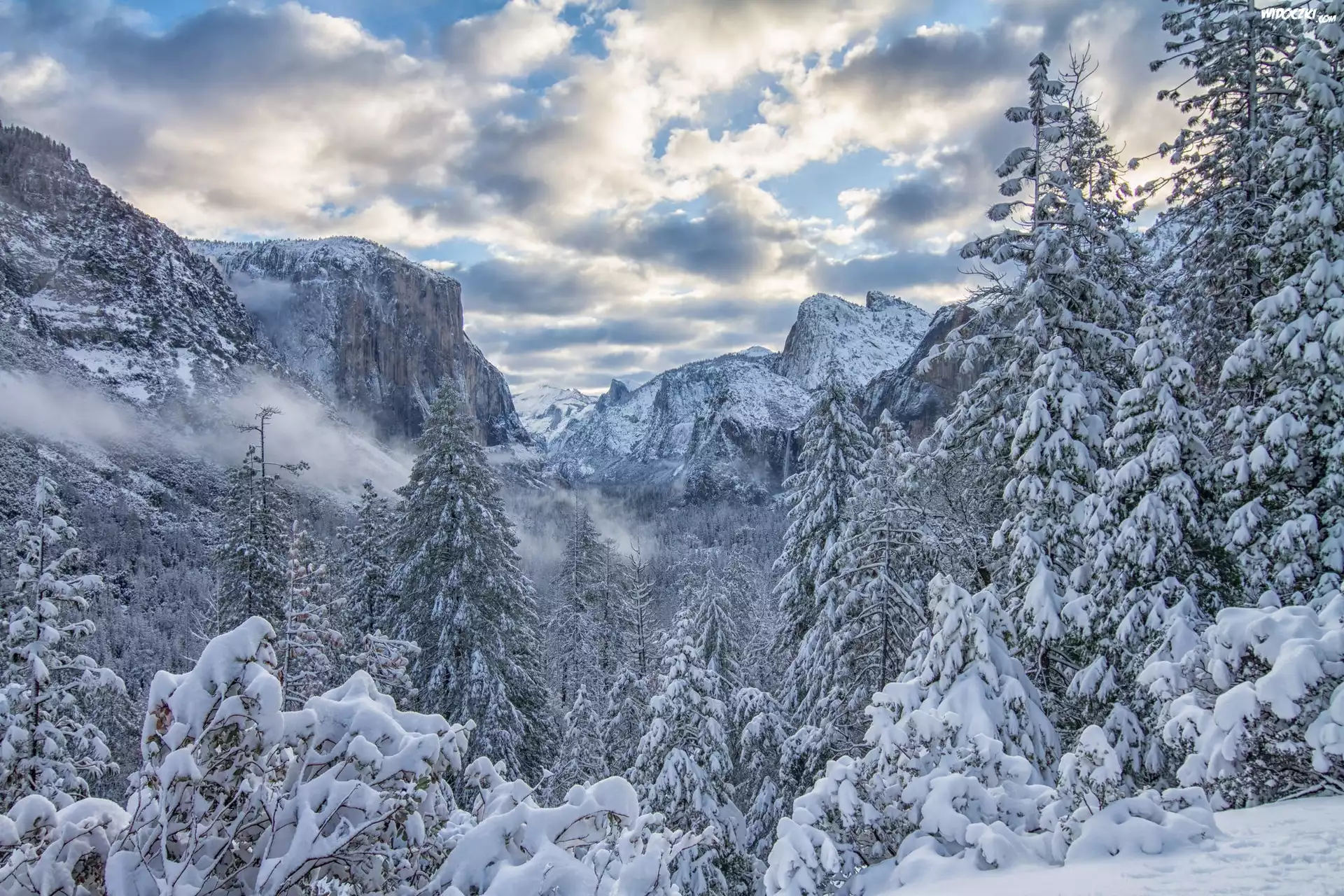 Park Narodowy Yosemite, Zima, Góry Sierra Nevada, Drzewa, Chmury, Stan Kalifornia, Stany Zjednoczone