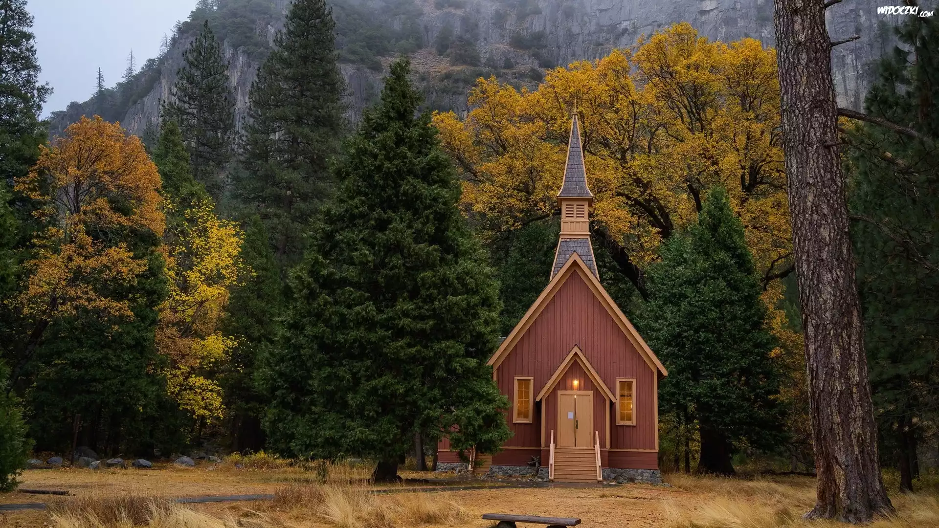Zima, Drzewa, Kościółek, Kaplica, Las, Park Narodowy Yosemite, Stan Kalifornia, Stany Zjednoczone