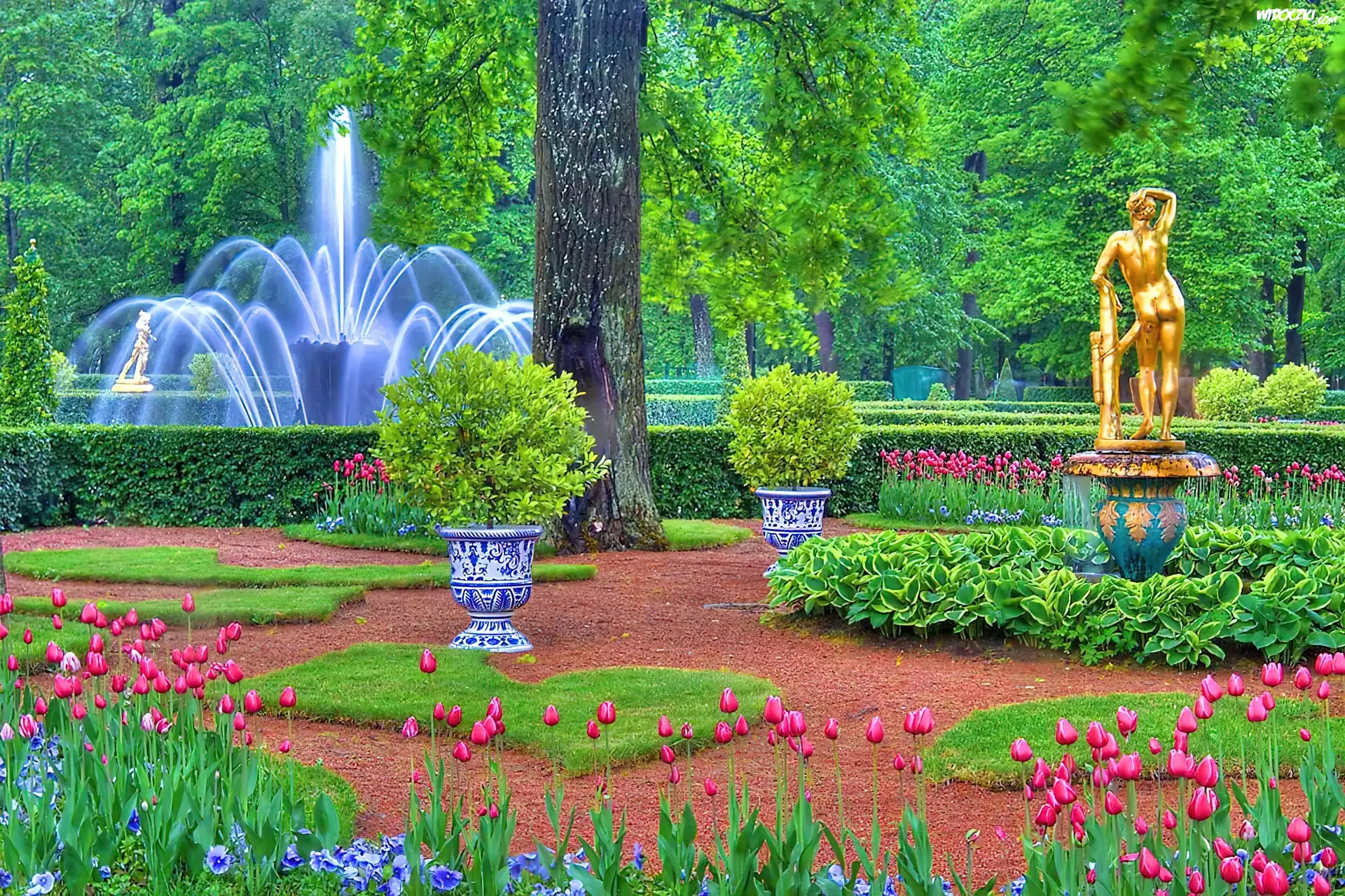 Park, Fontanna, Tulipany, Złoty, Posąg