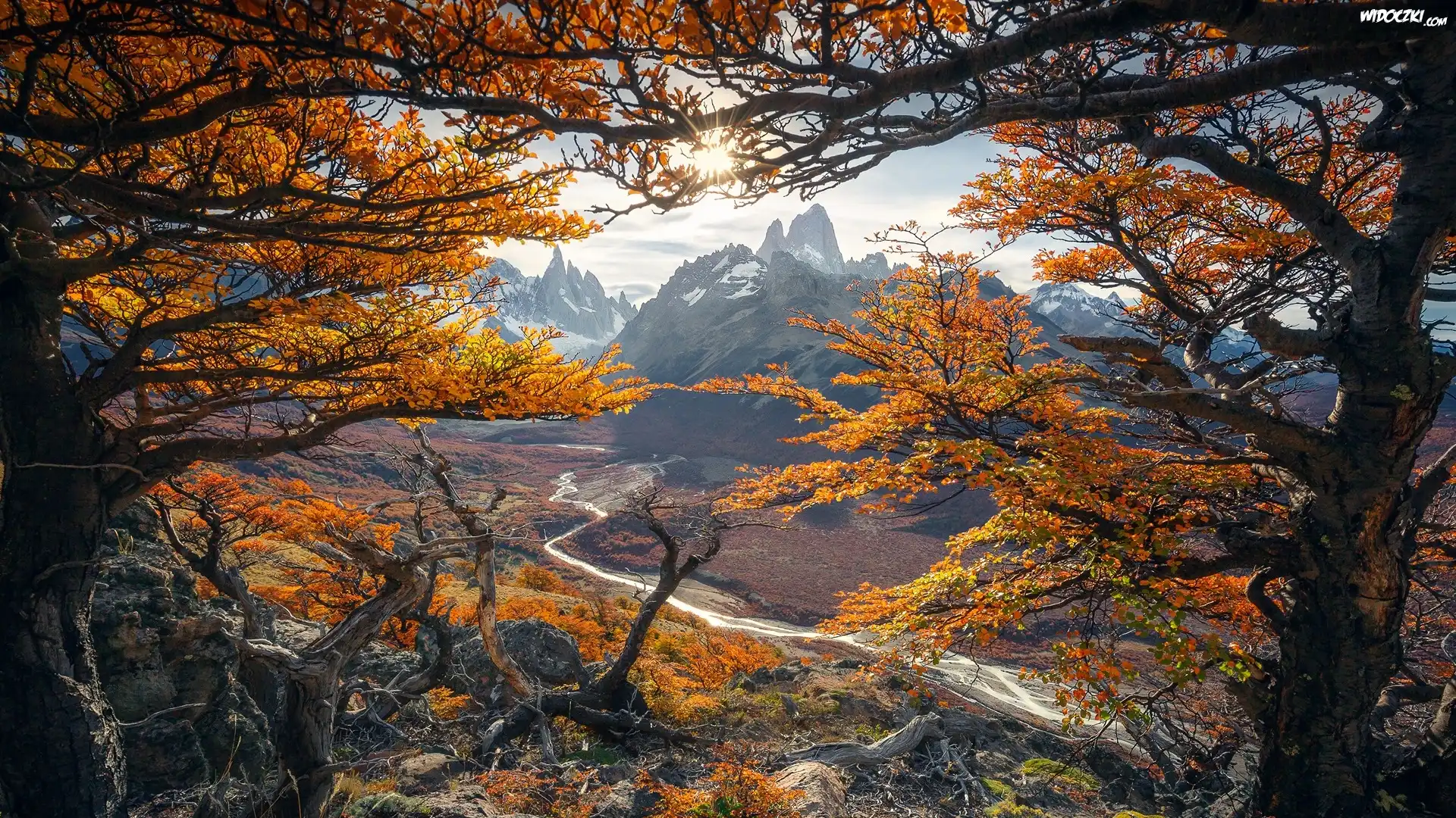 Argentyna, Patagonia, Park Narodowy Los Glaciares, Jesień, Góry, Szczyt Fitz Roy, Gałęzie, Drzewa, Rzeka Rio de las Vueltas, Promienie słońca