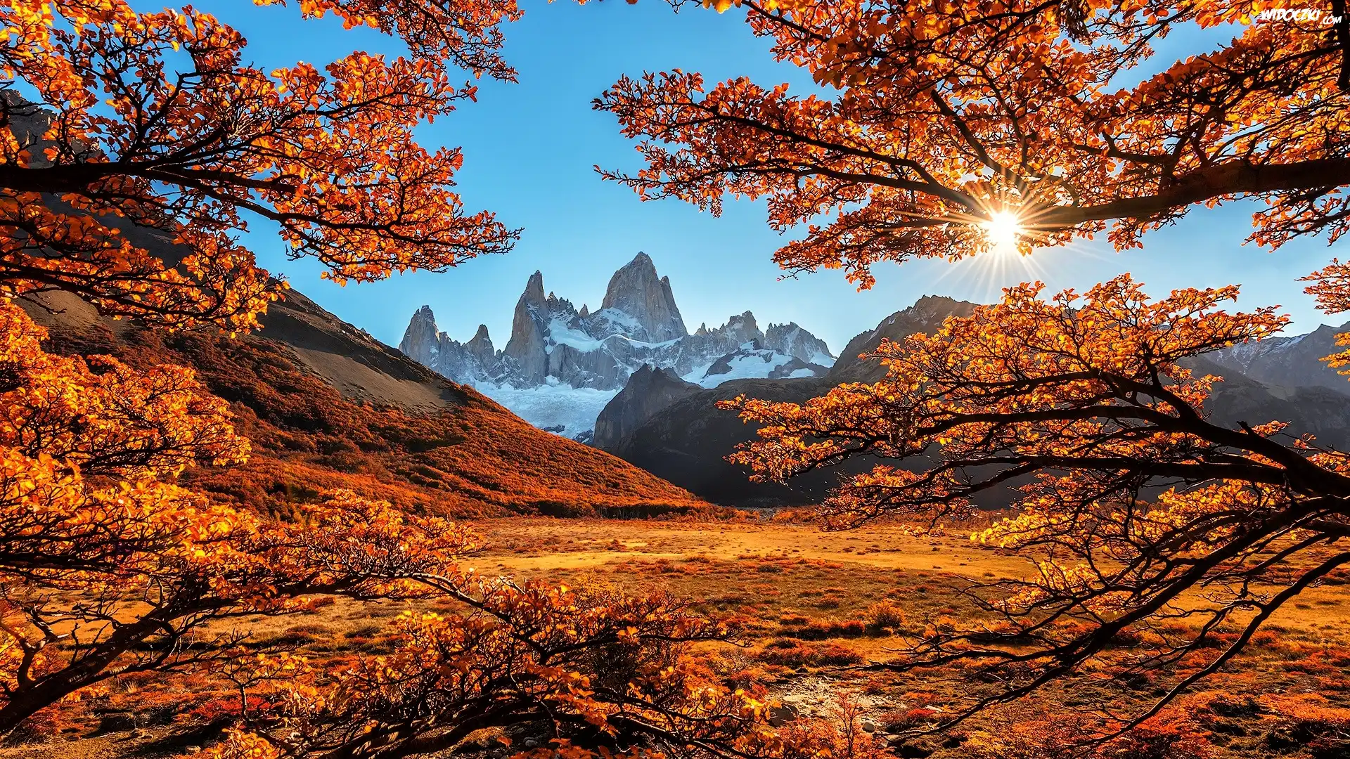 Góry Andy, Szczyt Fitz Roy, Patagonia, Argentyna, Promienie słońca, Jesień, Drzewa, Gałęzie