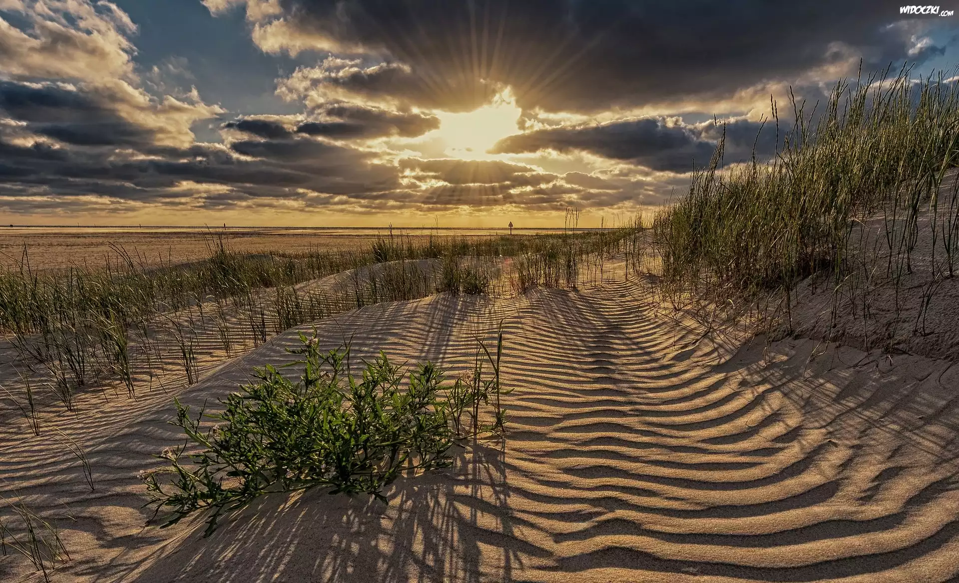 Niemcy, Sankt Peter-Ording, Piaszczyste, Wybrzeże, Morze Północne, Promienie słońca, Plaża