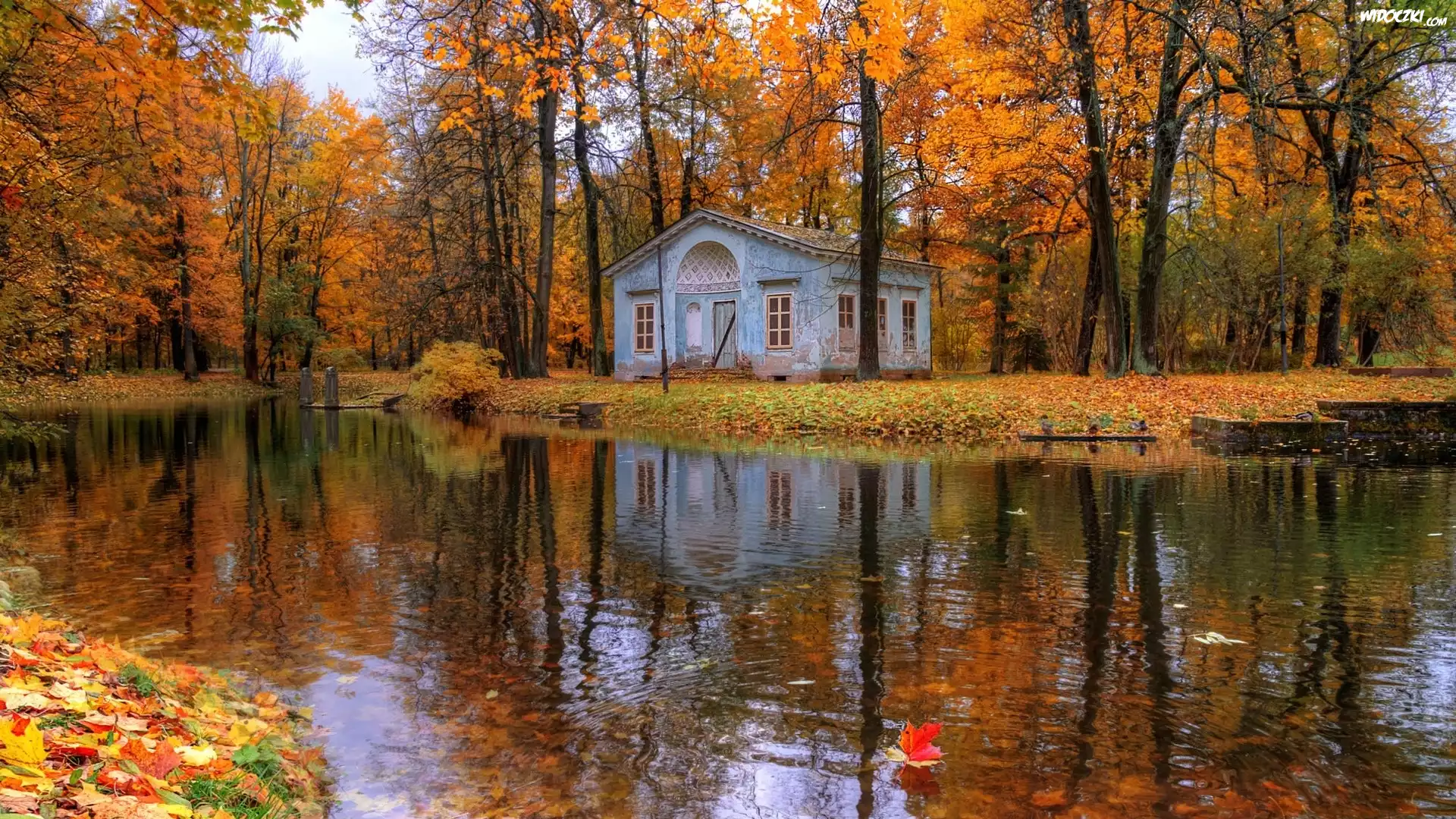 Rosja, Petersburg, Carskie Sioło, Jesień, Park, Staw, Domek