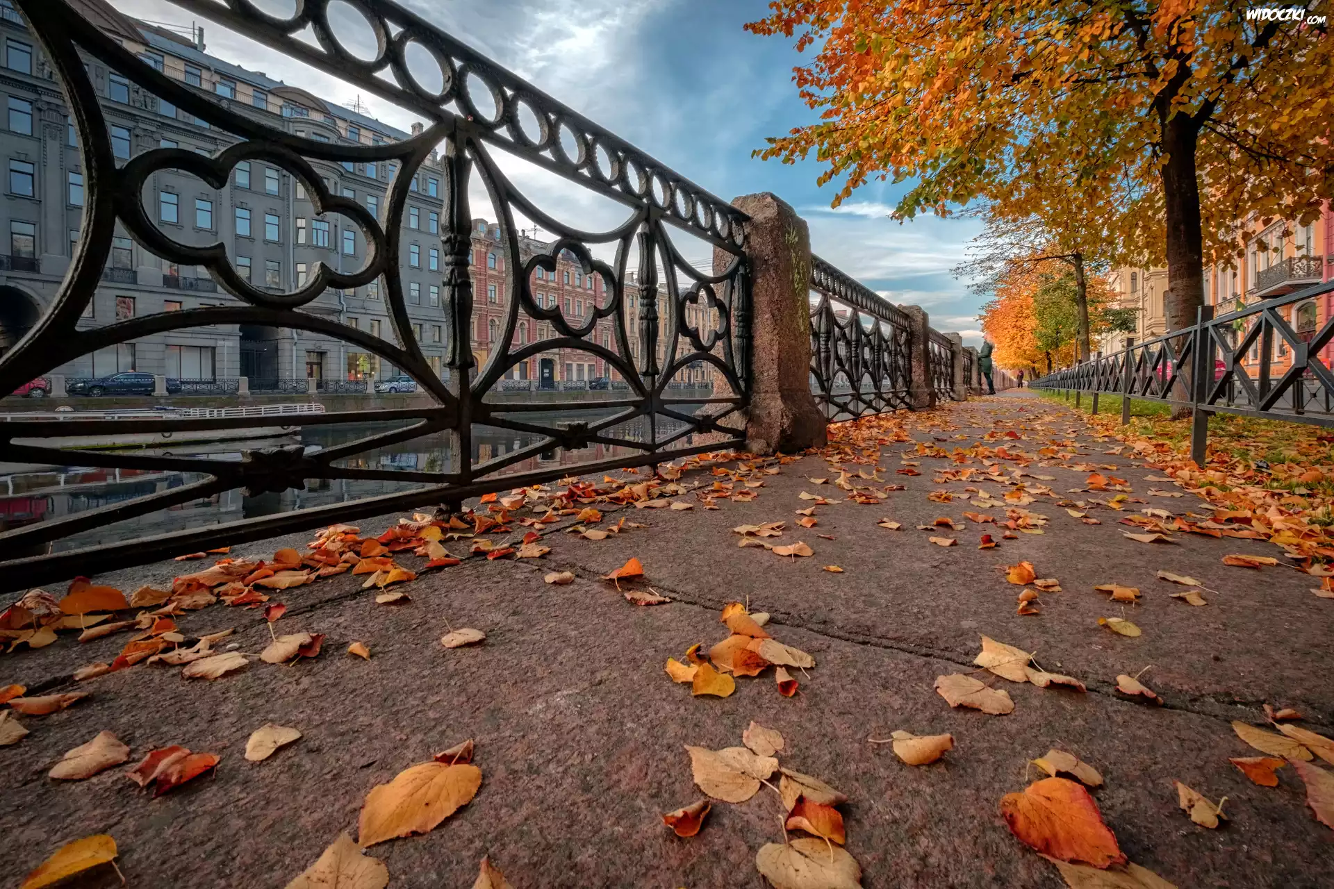 Miasto, Sankt Petersburg, Jesień, Domy, Balustrada, Ulica, Drzewa, Opadłe, Liście, Rosja