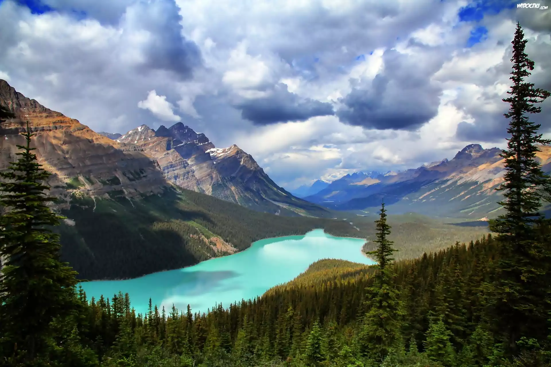 Góry, Jezioro Peyto Lake, Park Narodowy Banff, Prowincja Alberta, Kanada, Las