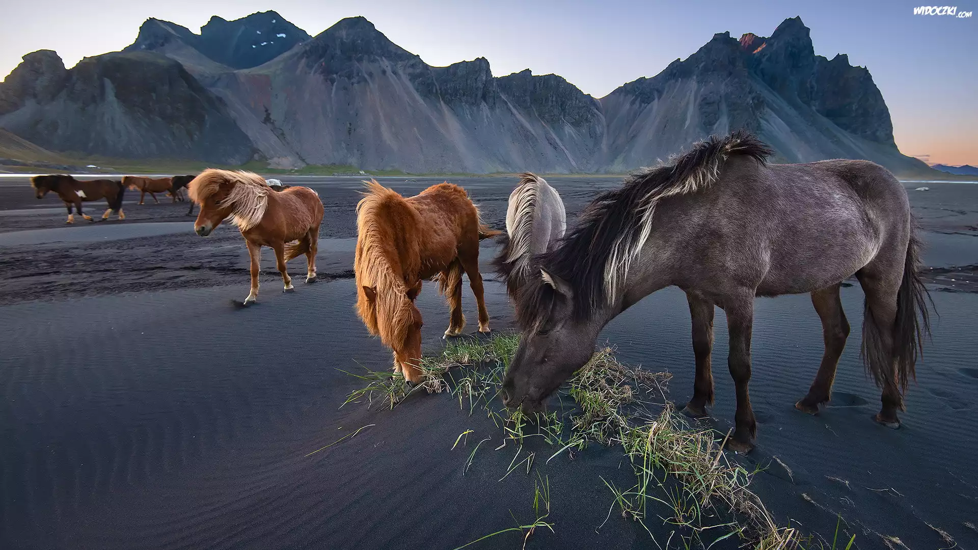 Konie, Góra Vestrahorn, Góry, Plaża Stokksnes, Islandia, Ciemny, Piasek
