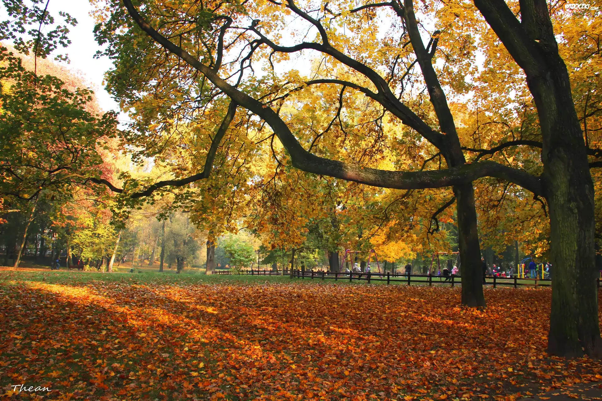 Plac, Zabaw, Jesień, Park
