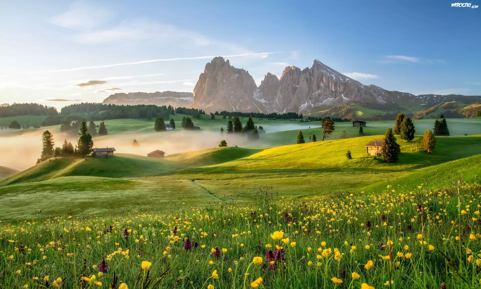 Płaskowyż Seiser Alm, Dolina Val Gardena, Góry Sassolungo, Włochy, Dolomity, Mgła, Domy, Łąka, Kwiaty, Drzewa