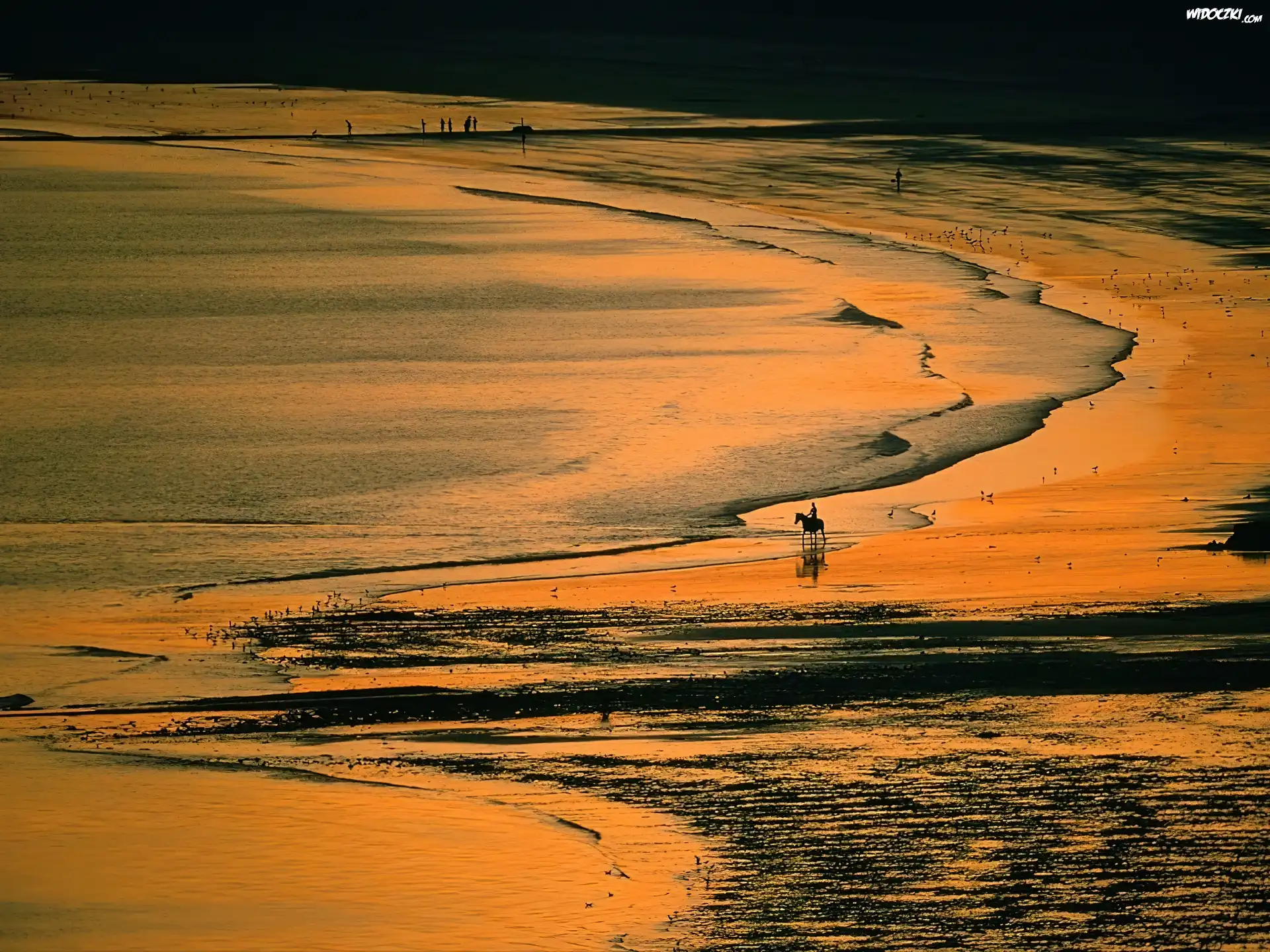 Plaża