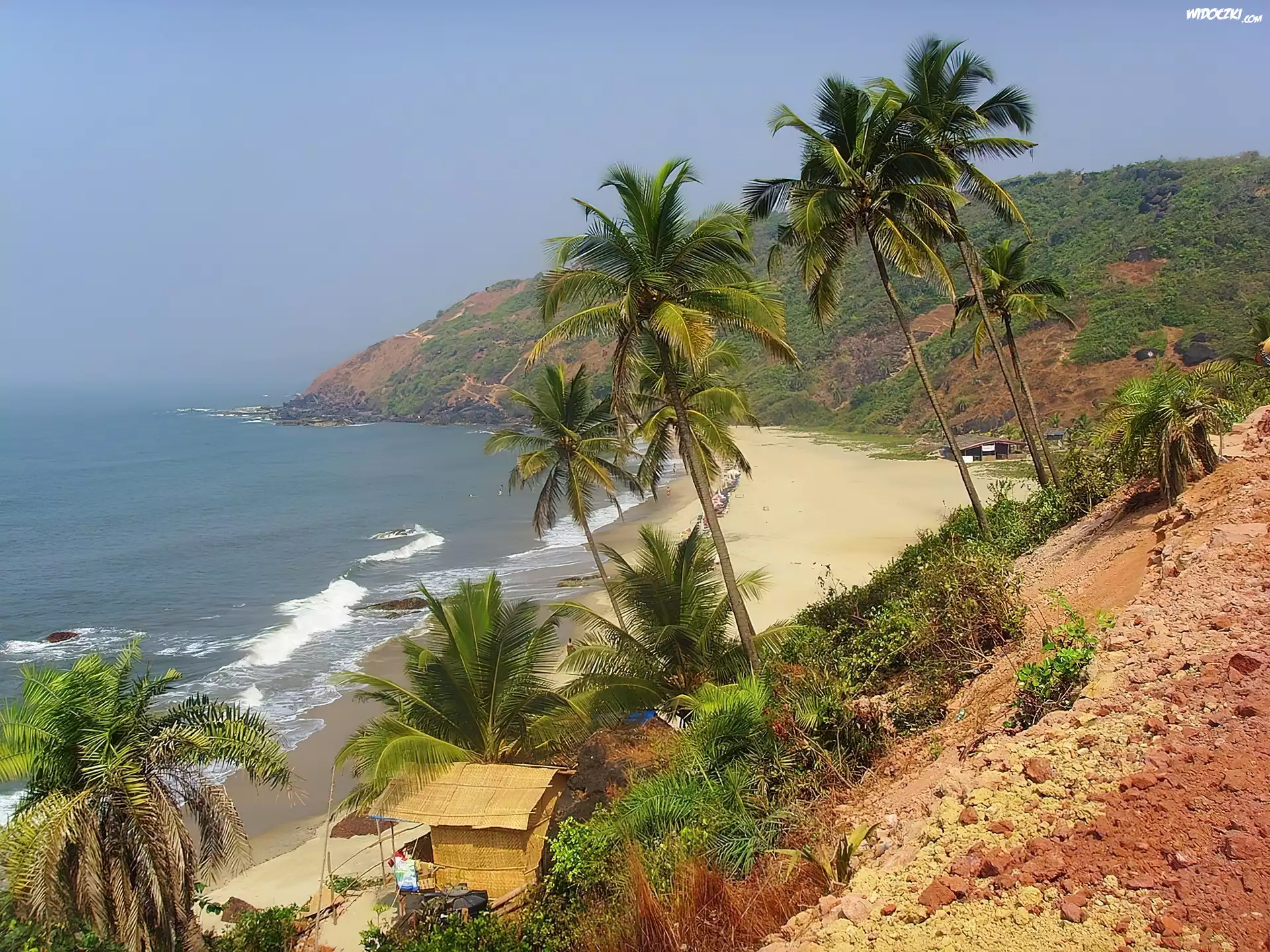 Plaża, Palmy, Goa, Indie