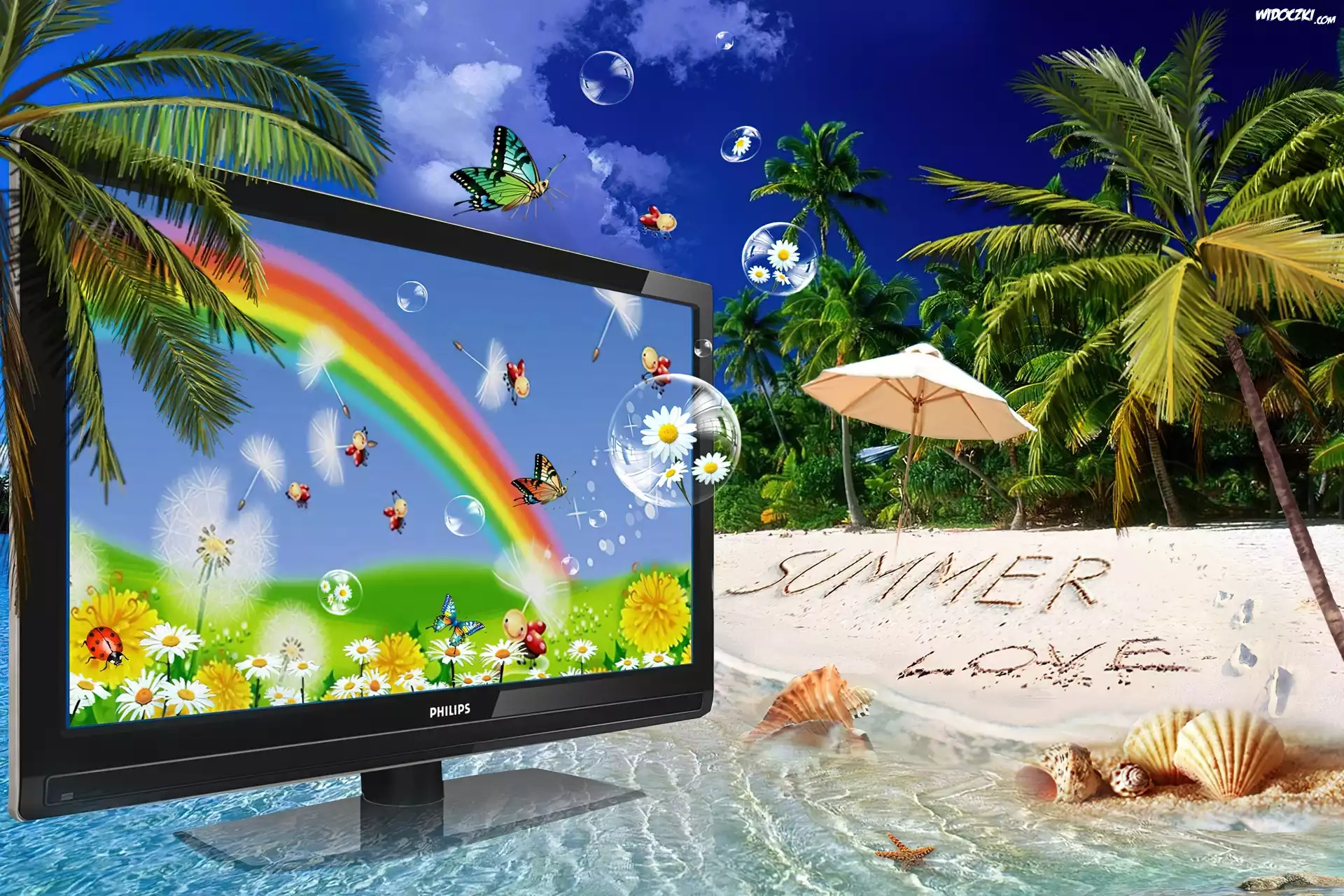 Plaża, Palmy, Monitor, Philips