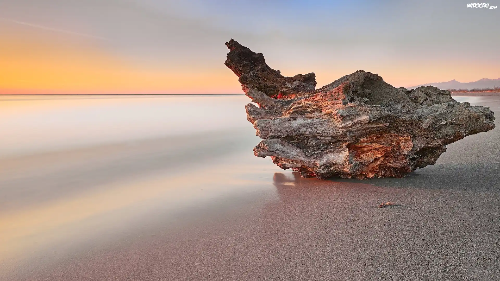 Morze, Plaża, Zachód słońca, Piasek, Konar, Pień