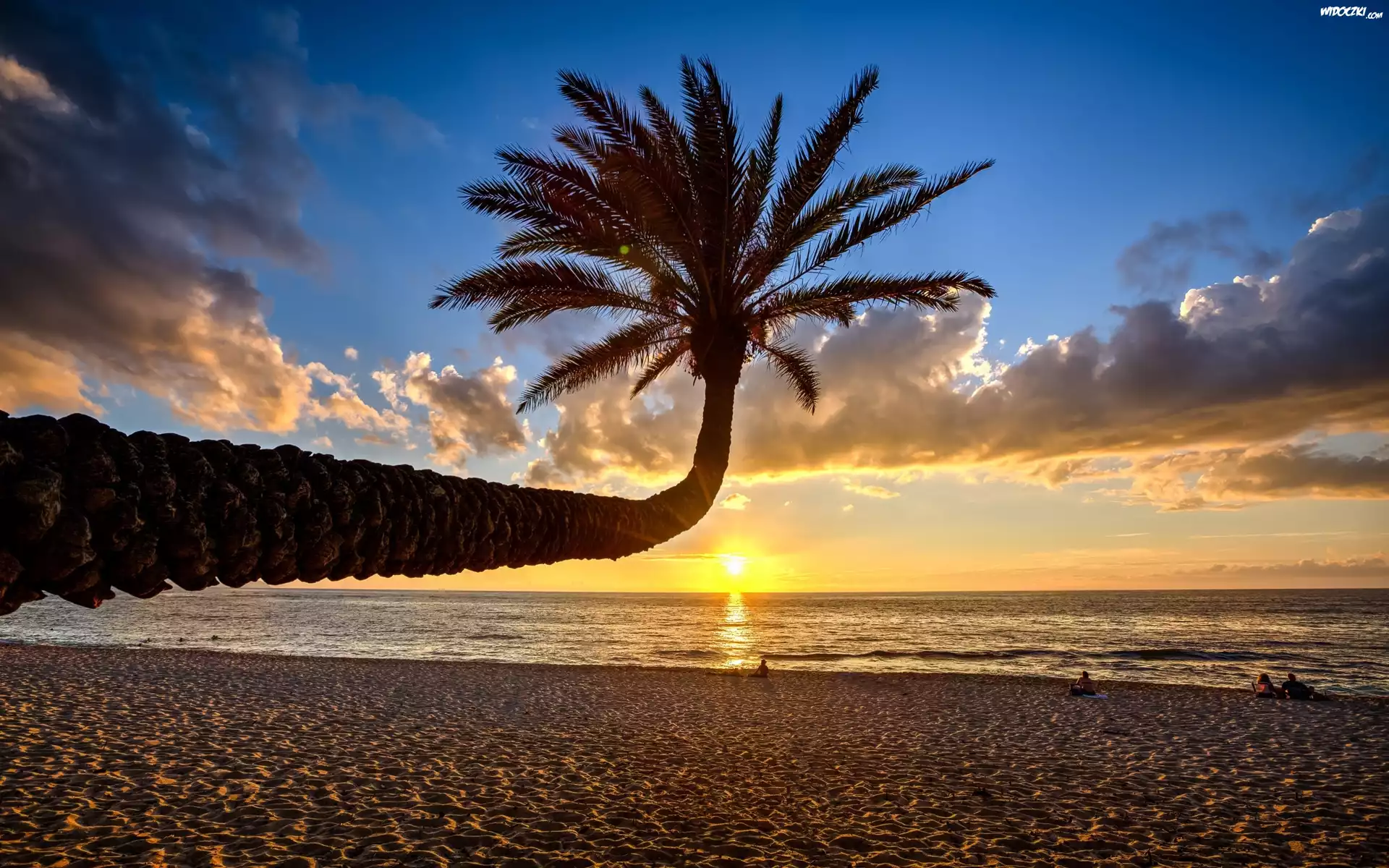 Plaża, Morze, Zachód Słońca, Palma, Chmury