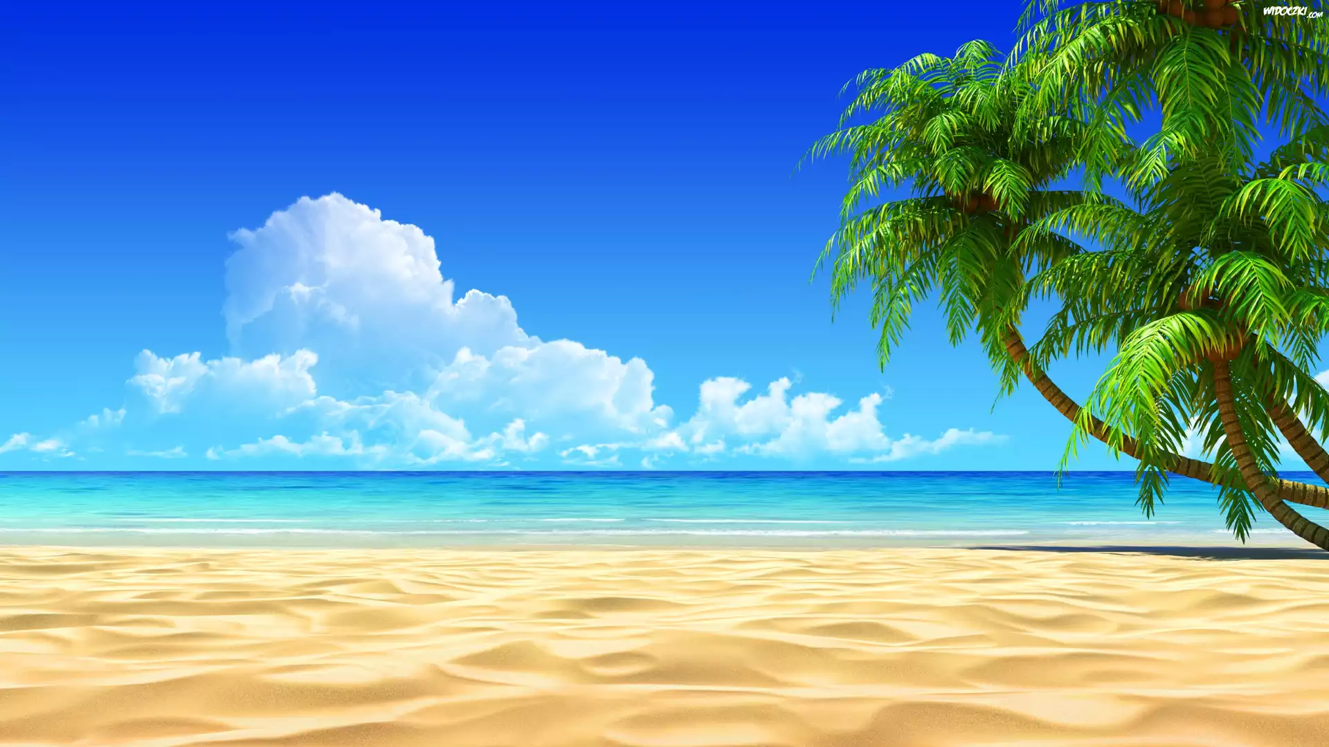Palmy, Plaża, Piasek